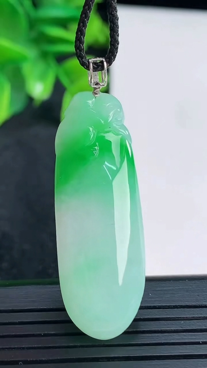 天然A货翡翠福瓜吊坠尺寸39.7-14-8.3重量:9.17g
4月15日