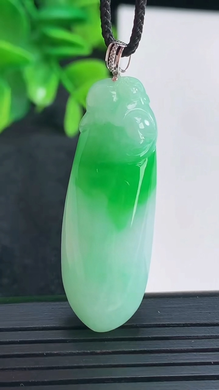 天然A货翡翠福瓜吊坠尺寸39.7-14-8.3重量:9.17g
4月15日