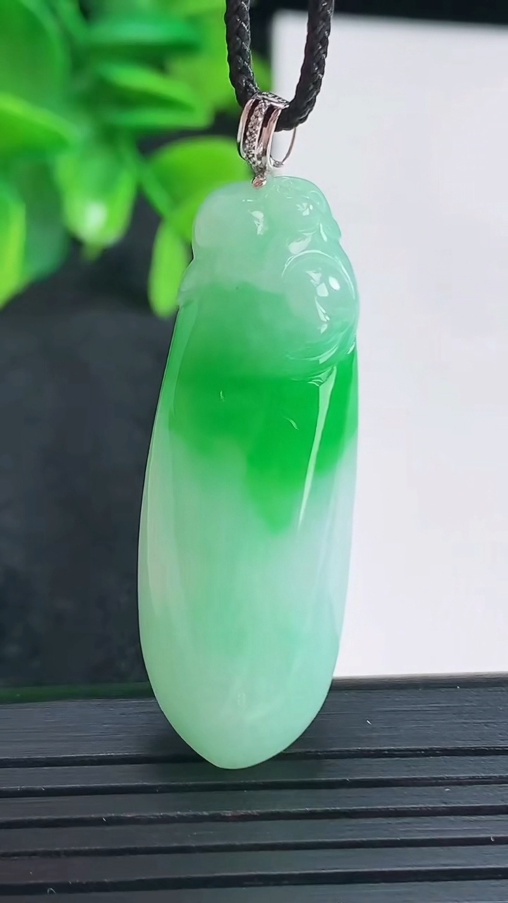 天然A货翡翠福瓜吊坠尺寸39.7-14-8.3重量:9.17g
4月15日