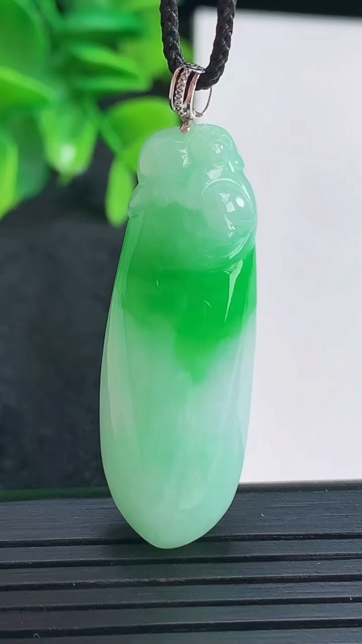 天然A货翡翠福瓜吊坠尺寸39.7-14-8.3重量:9.17g
4月15日