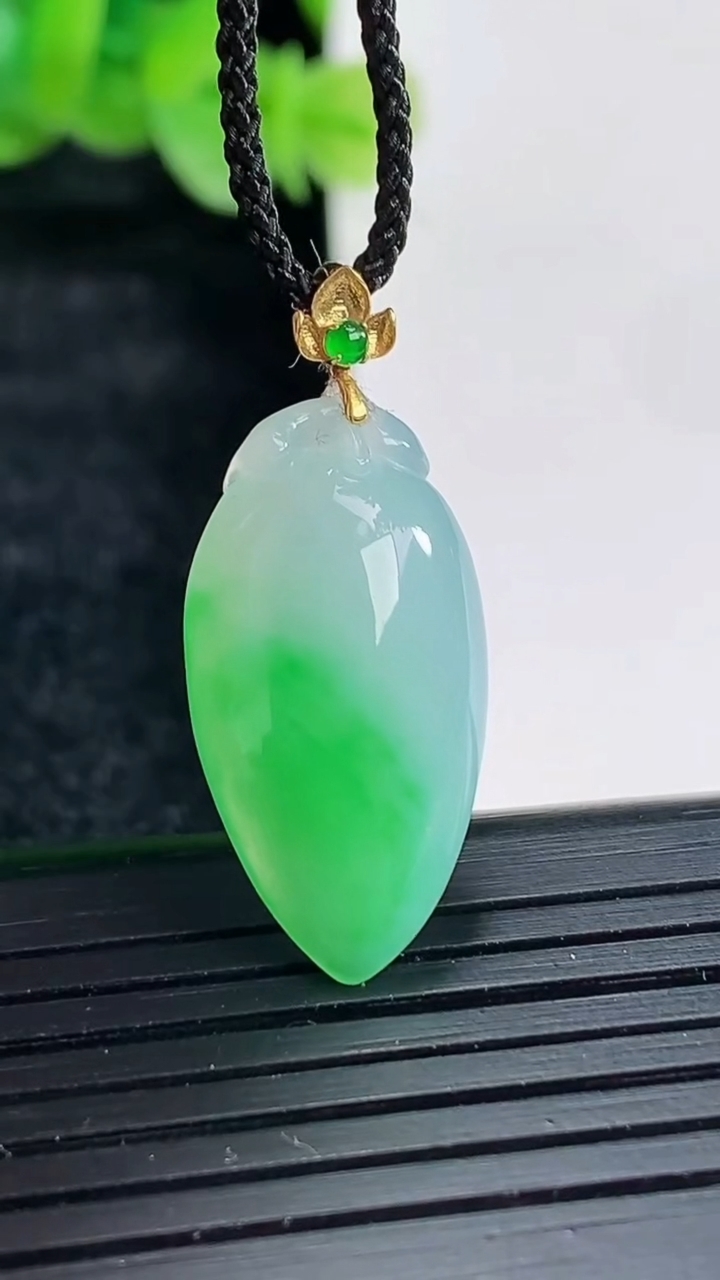 天然A货翡翠福瓜吊坠尺寸22-12.5-5重量:2.58g
4月17日
