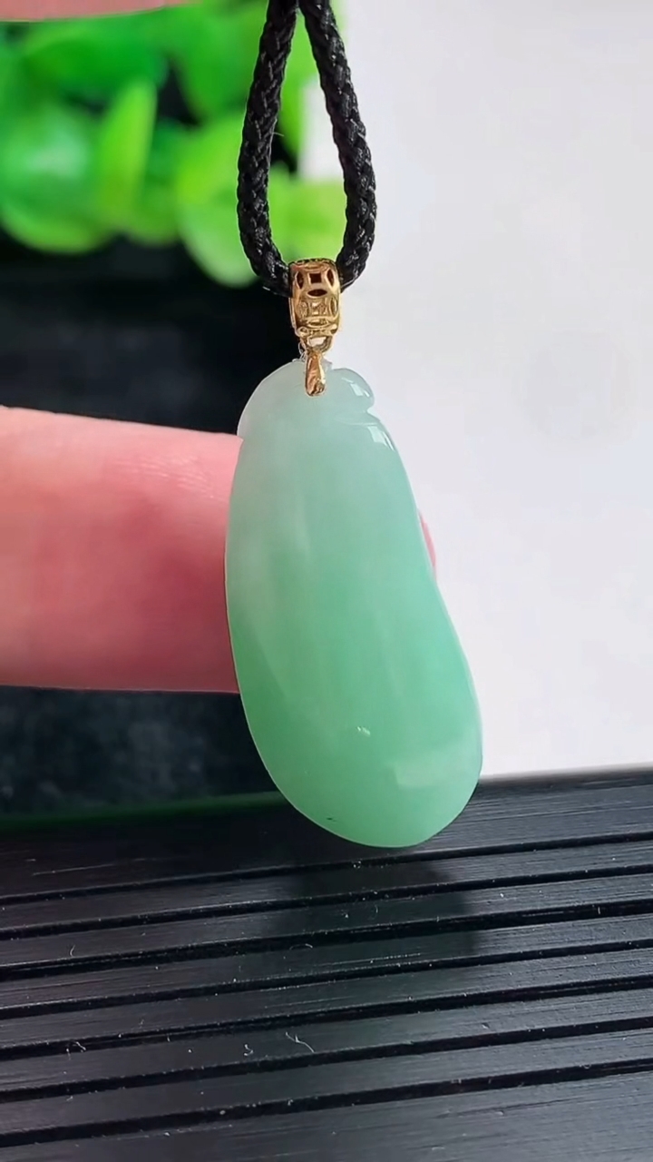 天然A货翡翠福瓜吊坠尺寸25-12.5-10重量:5.29g
4月17日
