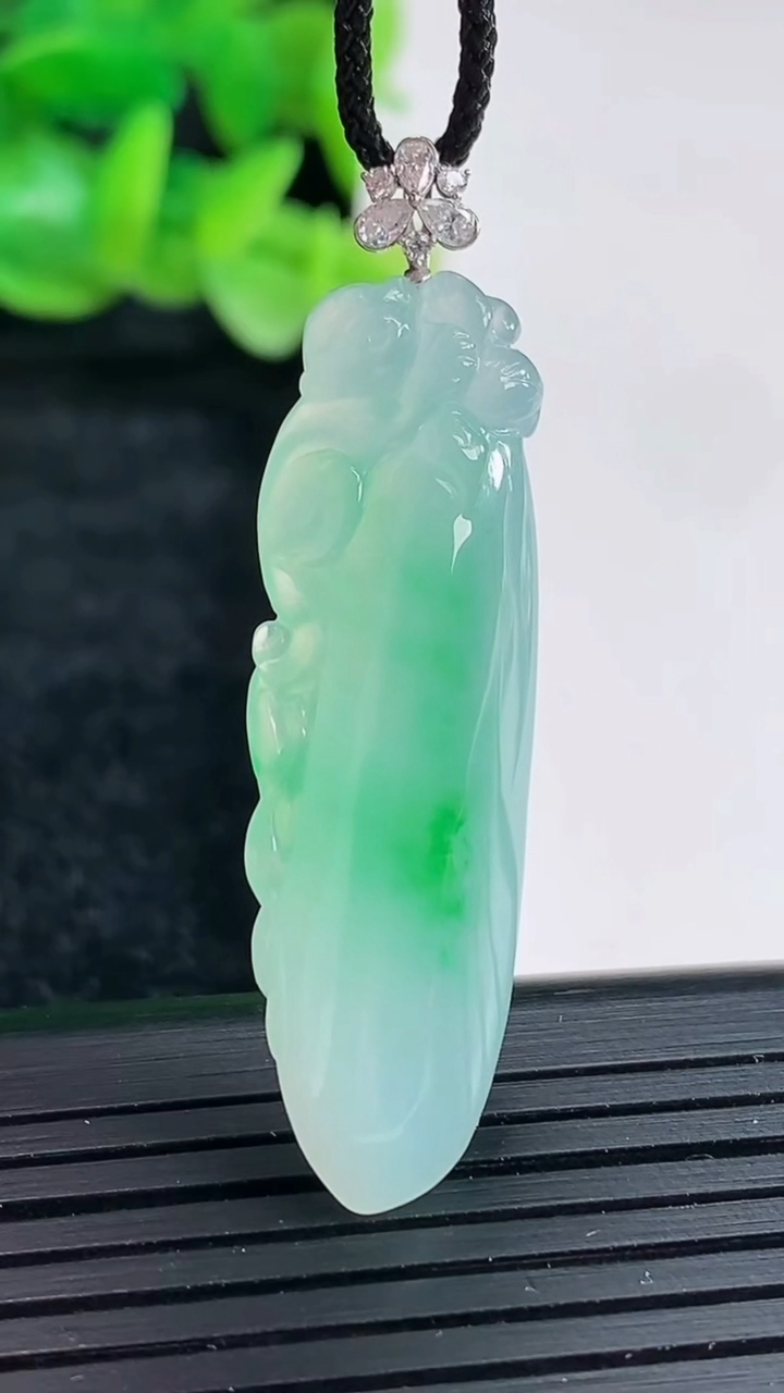 天然A货翡翠福瓜吊坠尺寸39.5-12.5-6.5重量:6.02g
4月17日