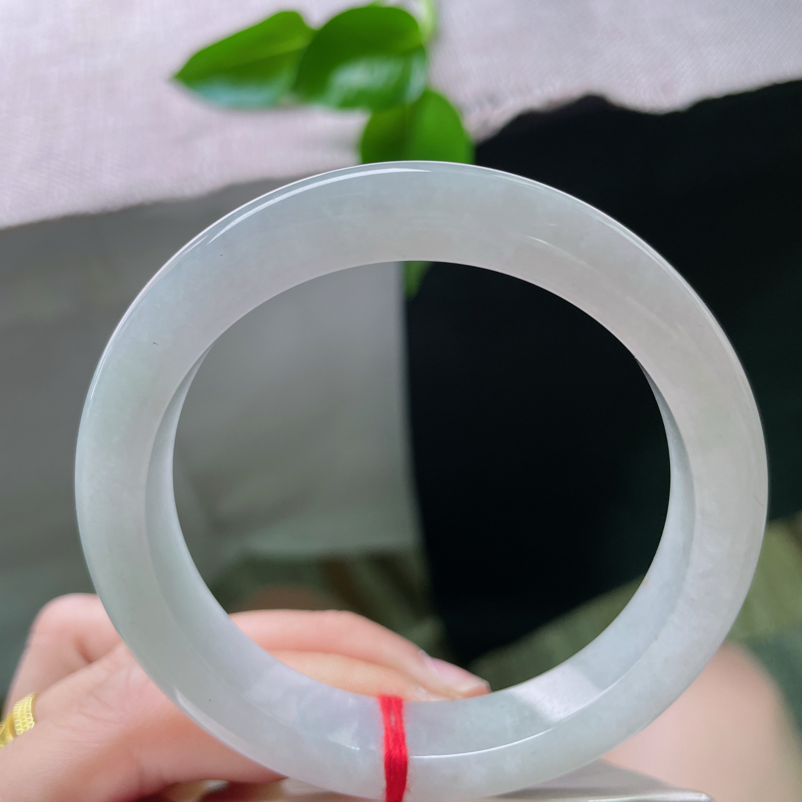 57.7/11.6/8.3，浅绿底正圈，像雨洗过的竹林 雾气未散。洒金荡漾其间