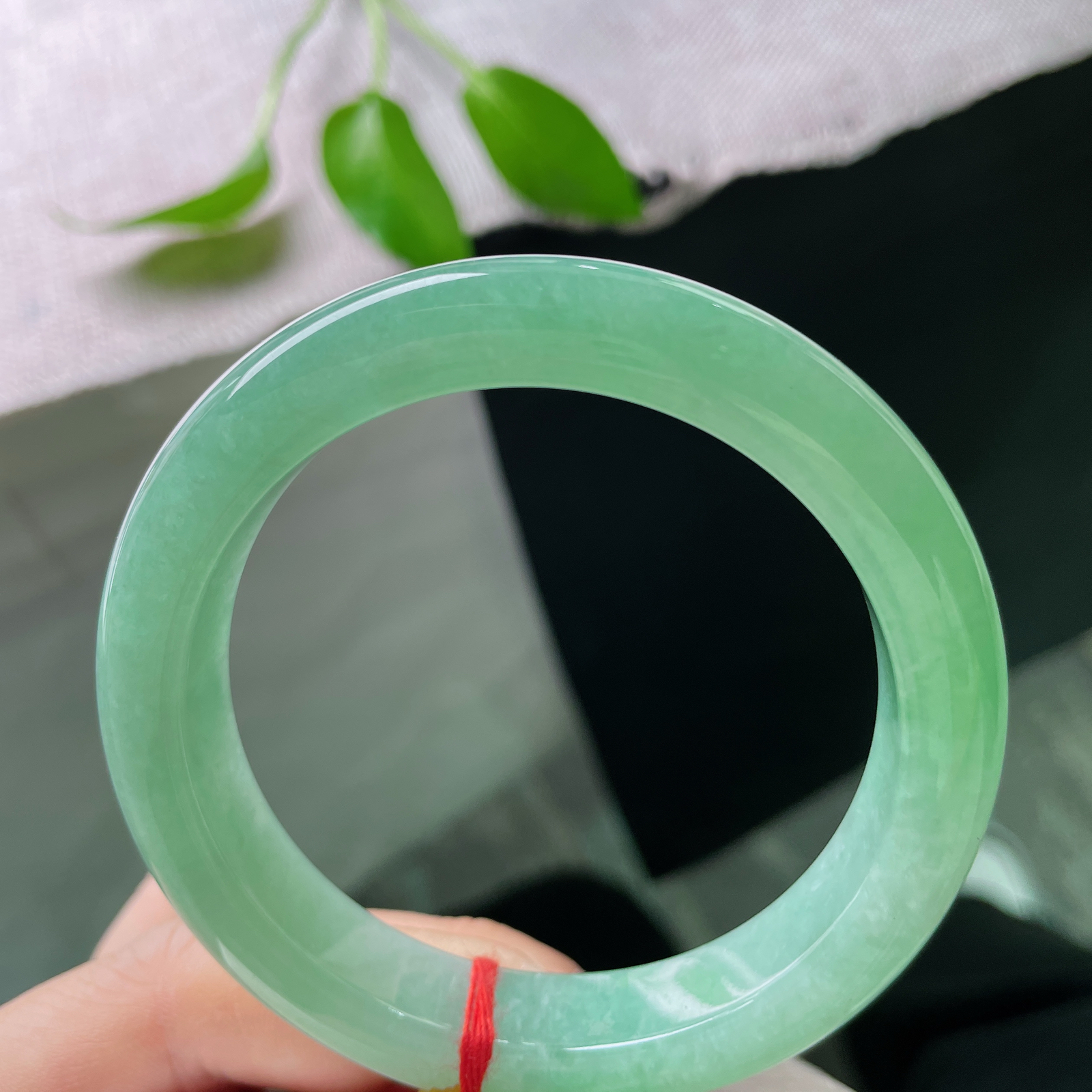 57.9/13.1/9.3，满绿正圈，色泽清雅高级，种老，郁郁层峦夹岸青，青山绿水去无声