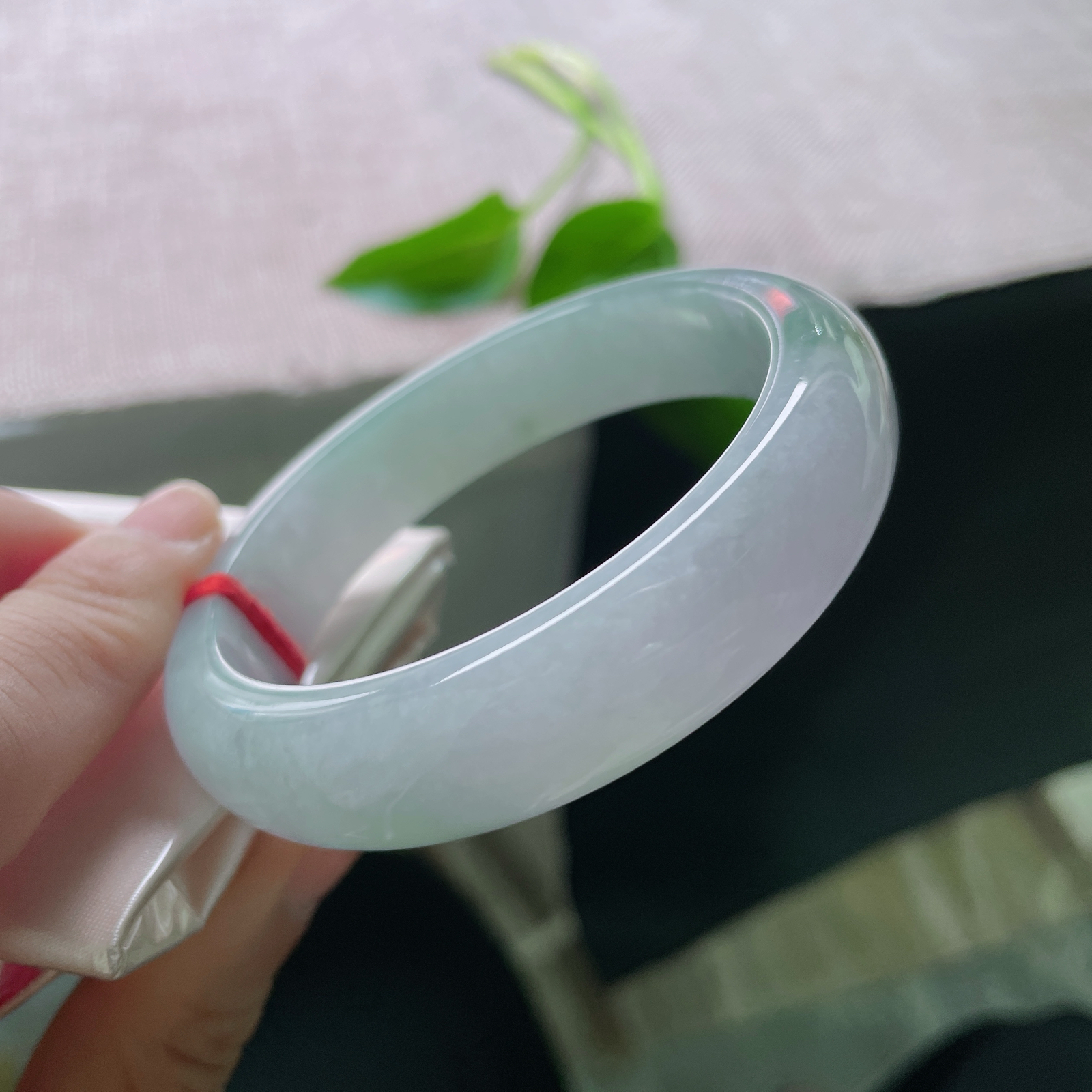 54.9/13.5/8，春彩正圈，腕间的多巴胺，春风有信，花开有期