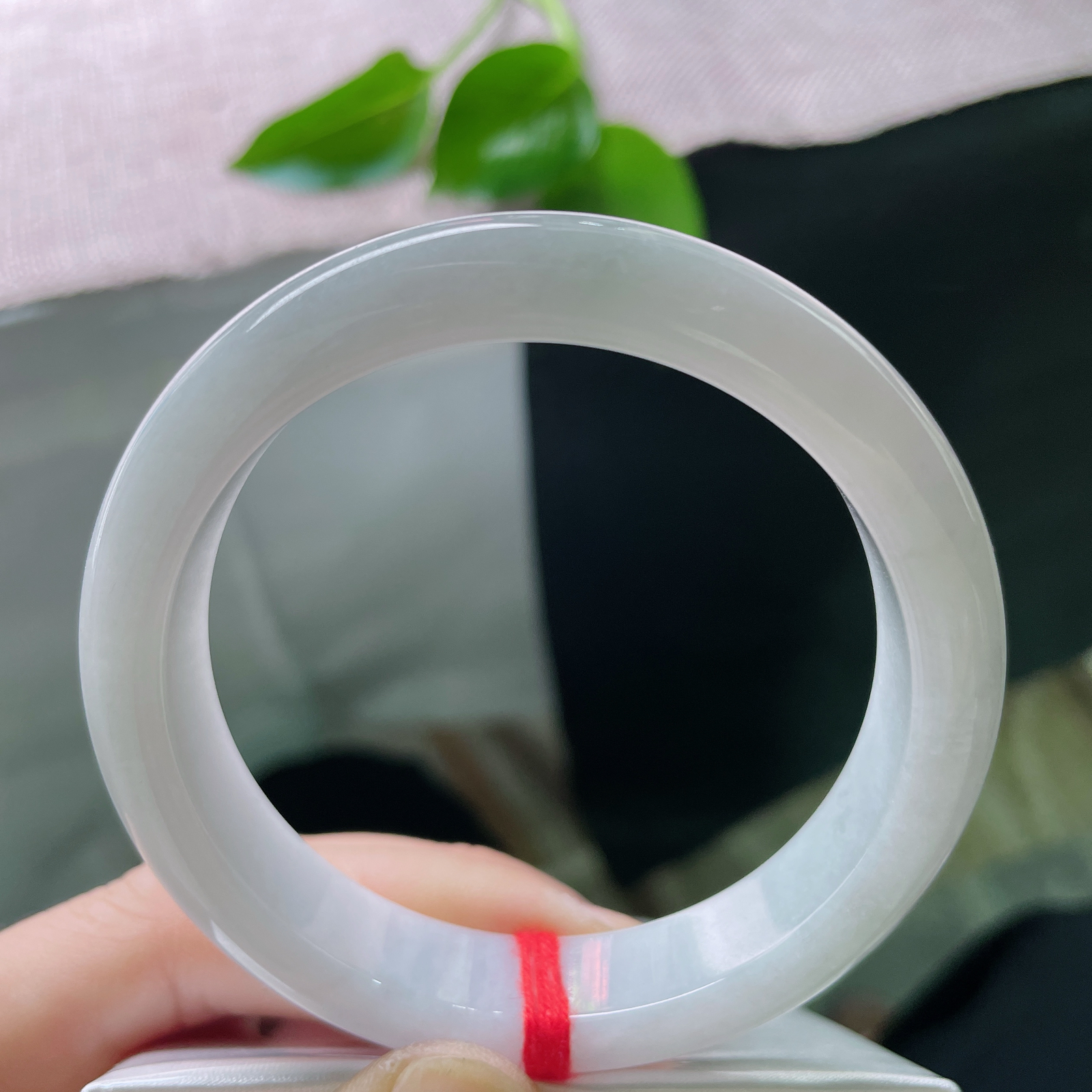 56.3/12.5/8白底正圈，水润细腻，清新简约大方