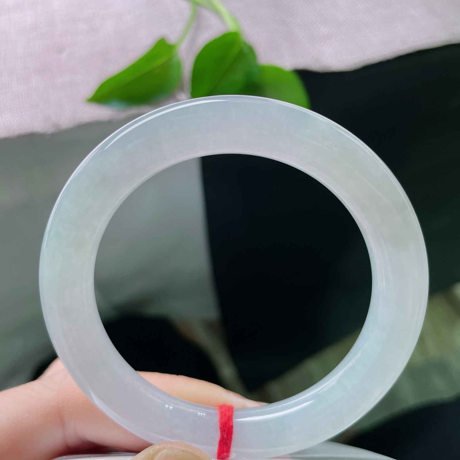 53.8/10白底圆条，冰清玉洁，种老，清泠一瞥，内里自有山河。