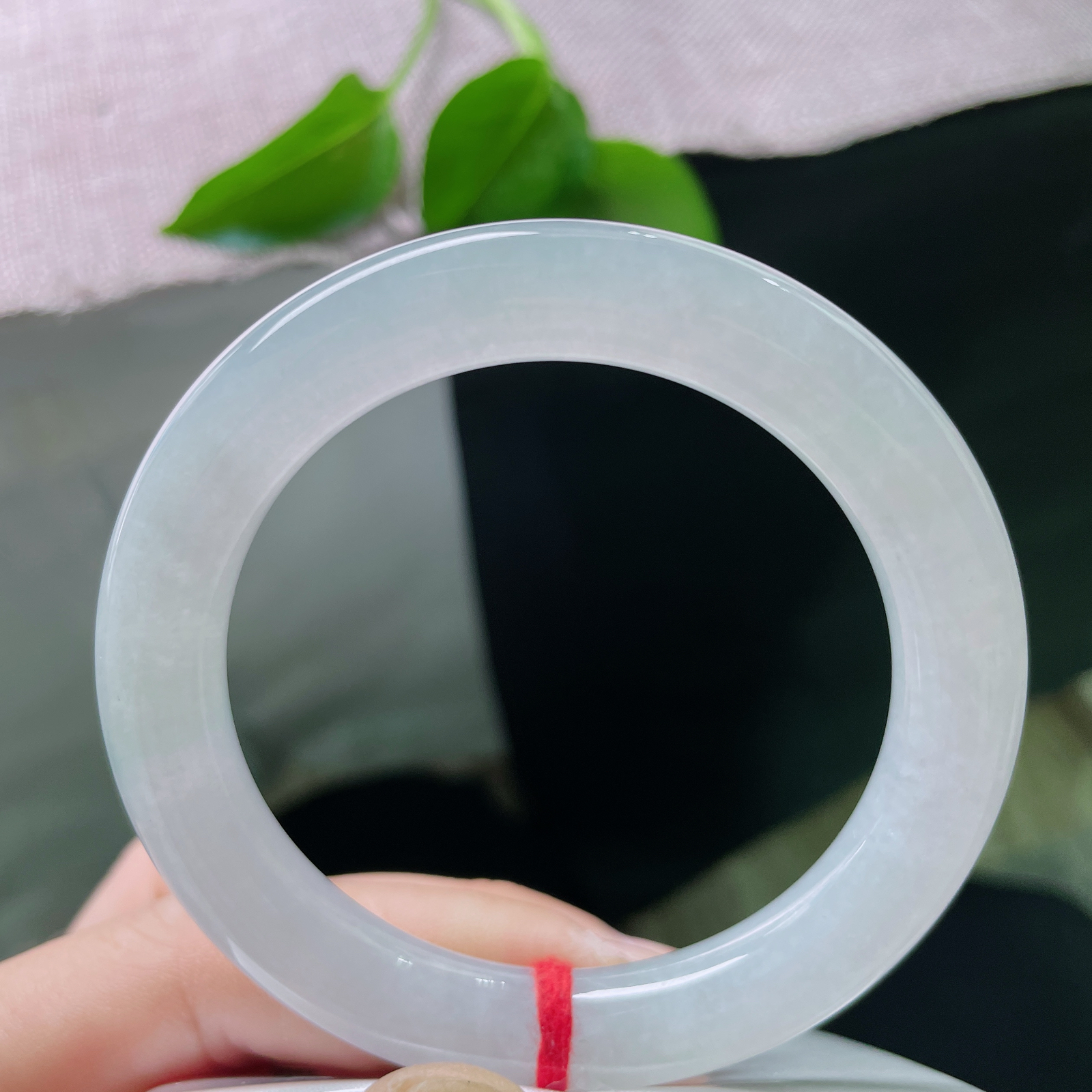 53.8/10白底圆条，冰清玉洁，种老，清泠一瞥，内里自有山河。