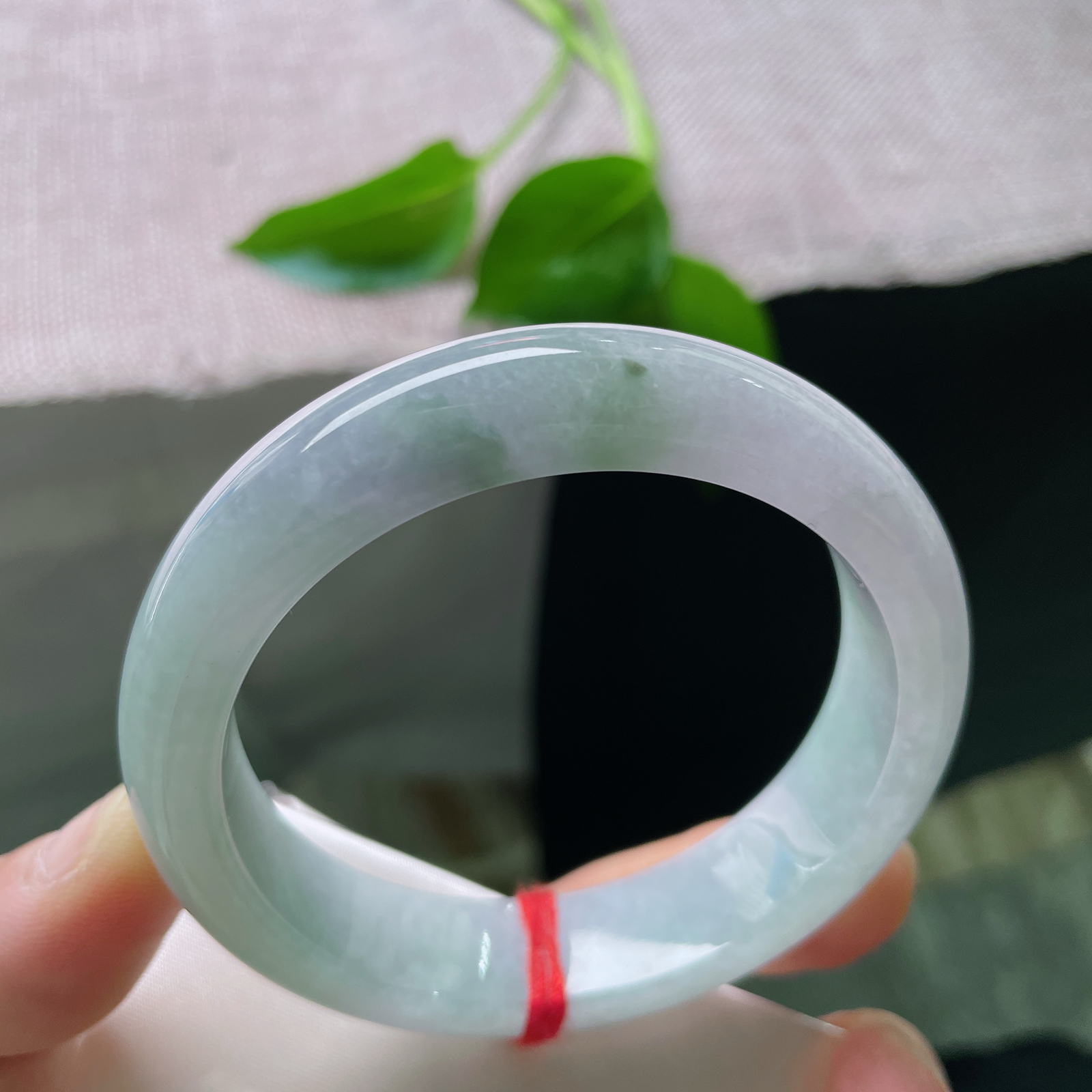 54.9/13.5/8，春彩正圈，腕间的多巴胺，春风有信，花开有期