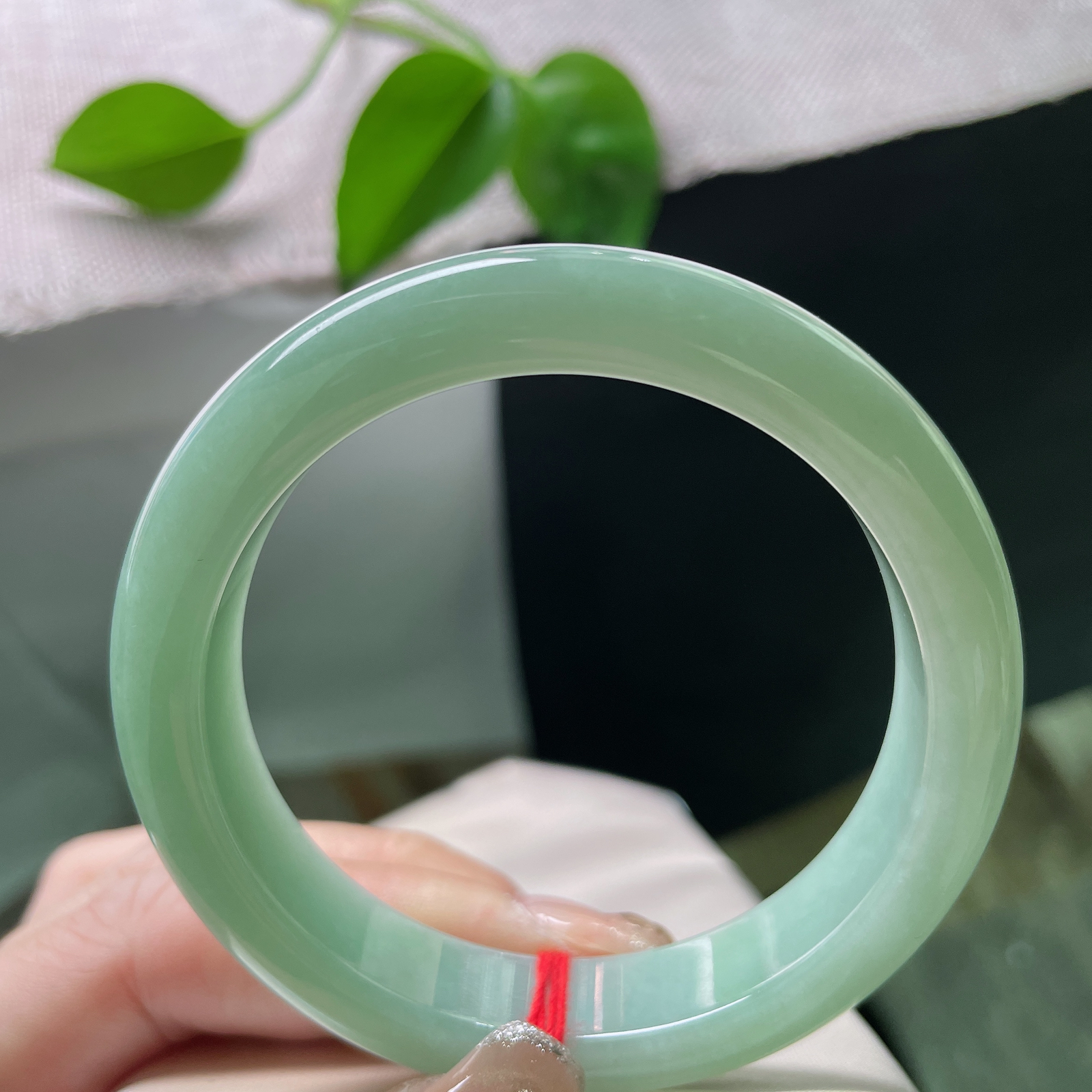 55/12/8.5，果绿底正圈，颜色分布均匀，清爽淡雅，料子细腻