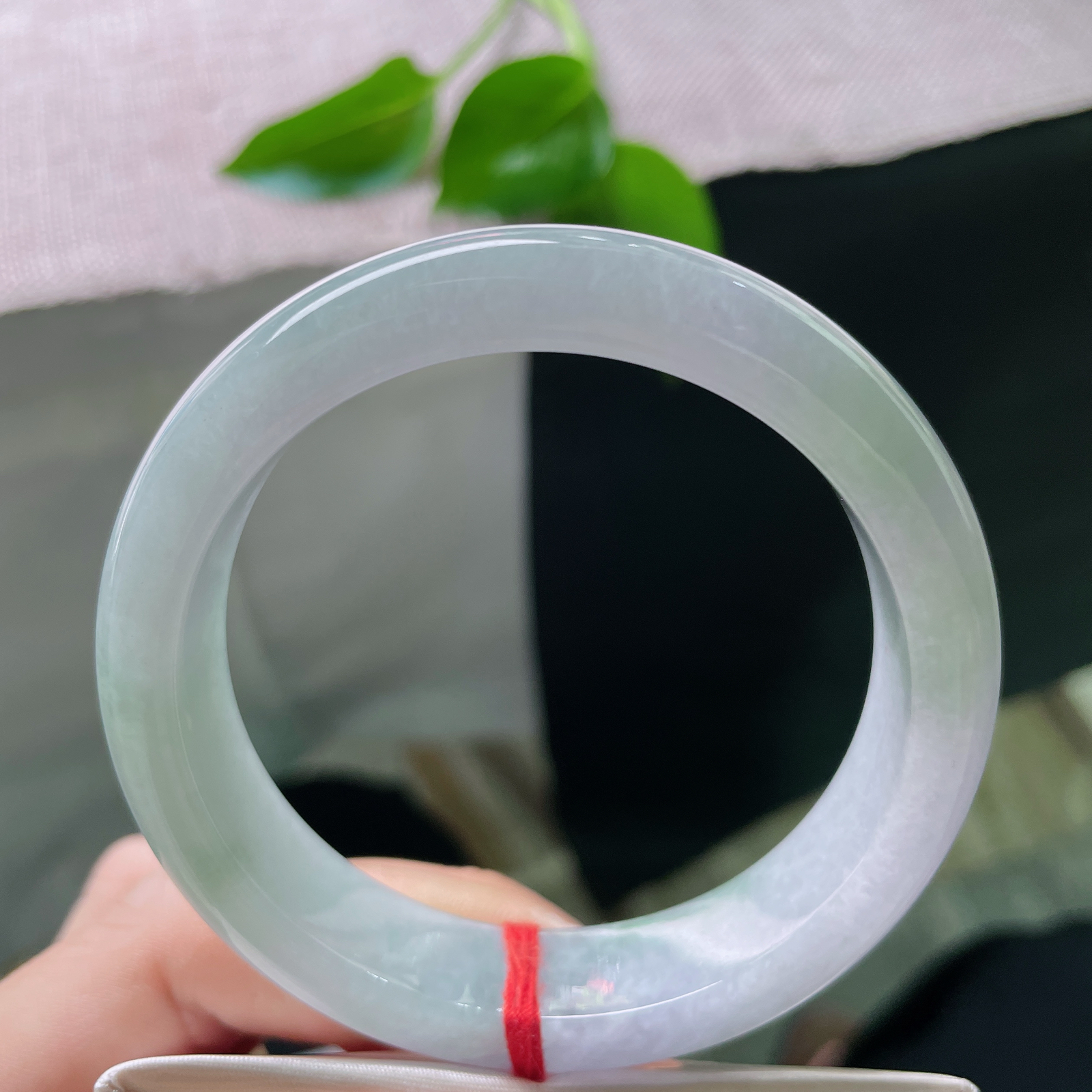 54.9/13.5/8，春彩正圈，腕间的多巴胺，春风有信，花开有期