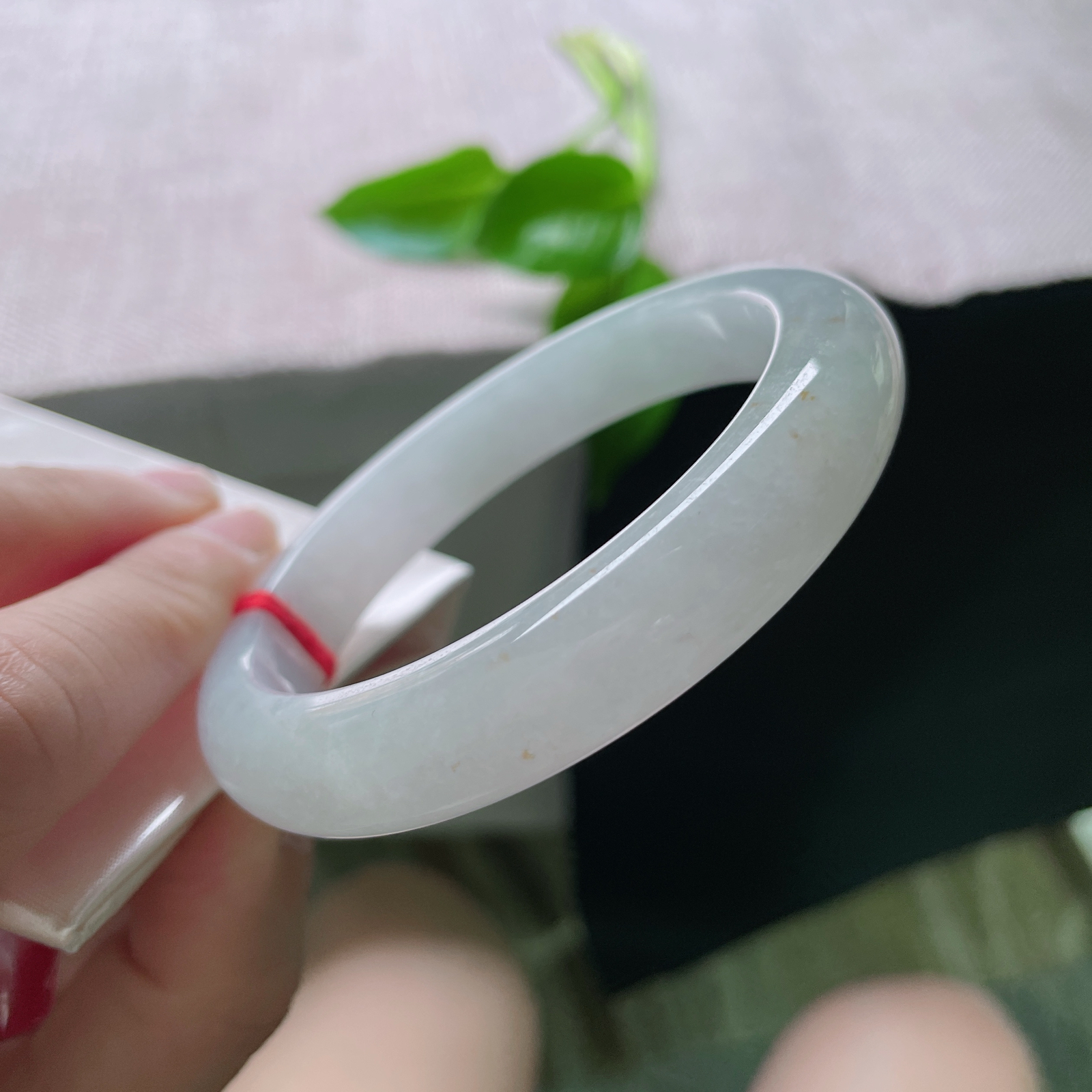 57.7/11.6/8.3，浅绿底正圈，像雨洗过的竹林 雾气未散。洒金荡漾其间