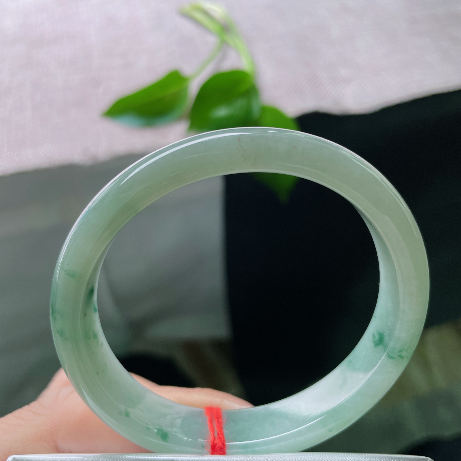 55（49.2）/12.3/7，飘花贵妃，水头好，种老，精致玲珑