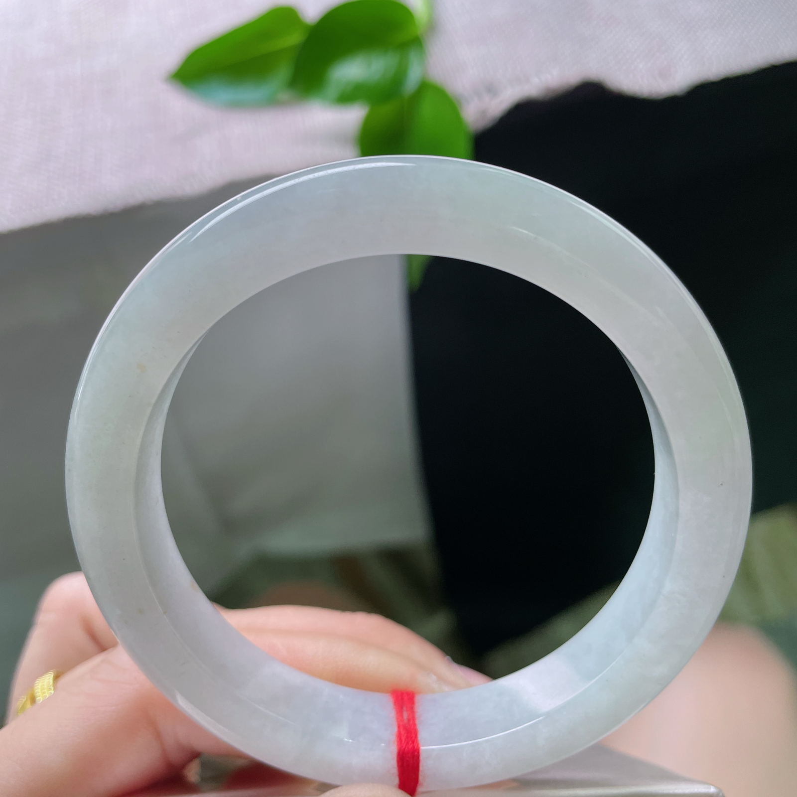 57.7/11.6/8.3，浅绿底正圈，像雨洗过的竹林 雾气未散。洒金荡漾其间