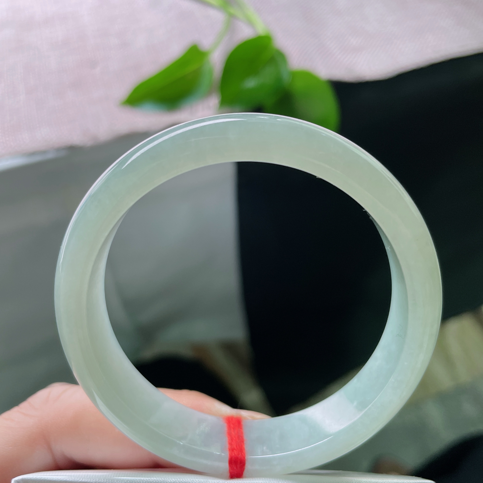 53.8/12.3/6.8，晴绿底正圈，水头好，种老，时光沉淀的底色，是岁月赠予的温润诗篇。