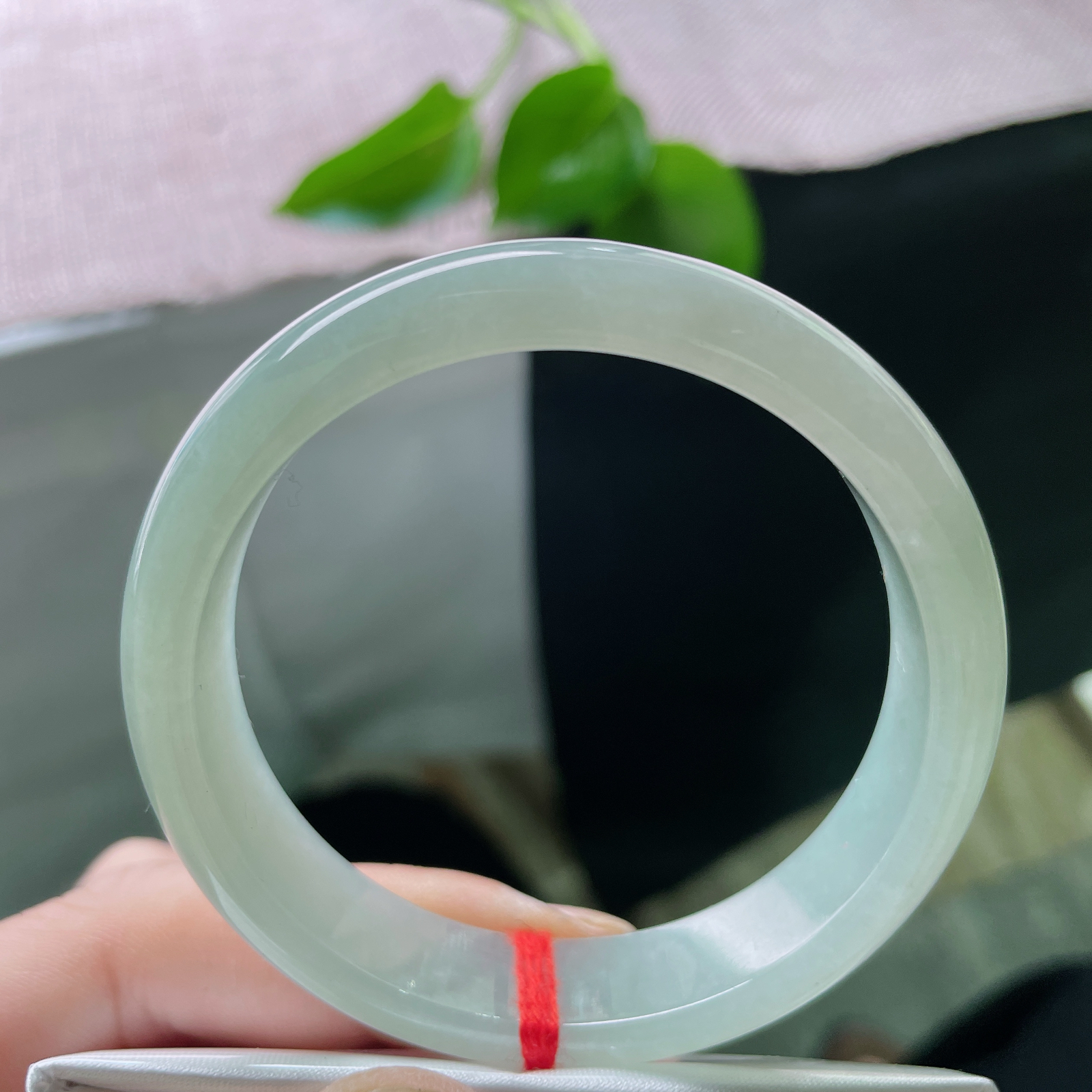 53.8/12.3/6.8，晴绿底正圈，水头好，种老，时光沉淀的底色，是岁月赠予的温润诗篇。