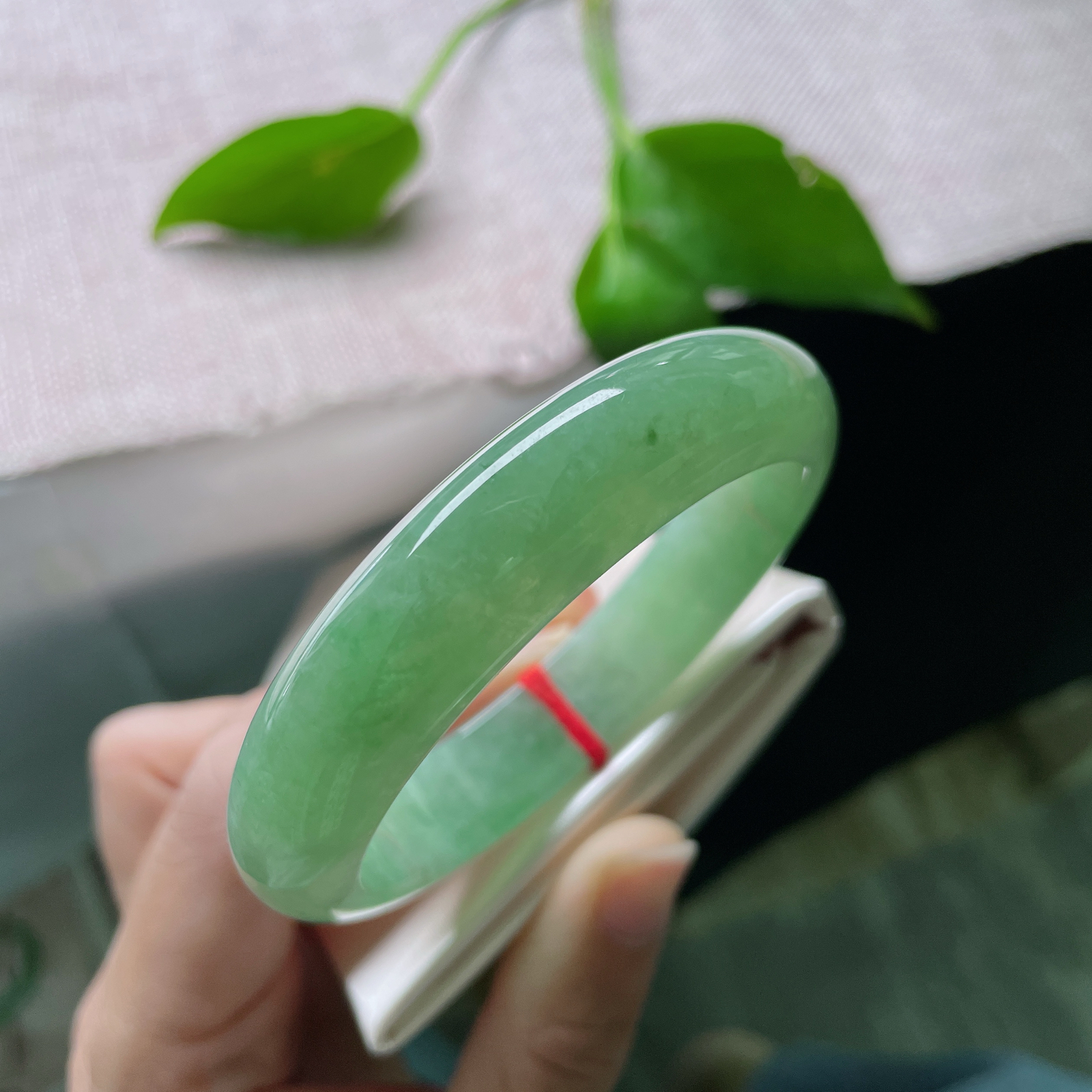 57.4/13.4/8.1绿底正圈，水润细腻，色系伊人，郁郁葱葱，贵气，一点皮纹