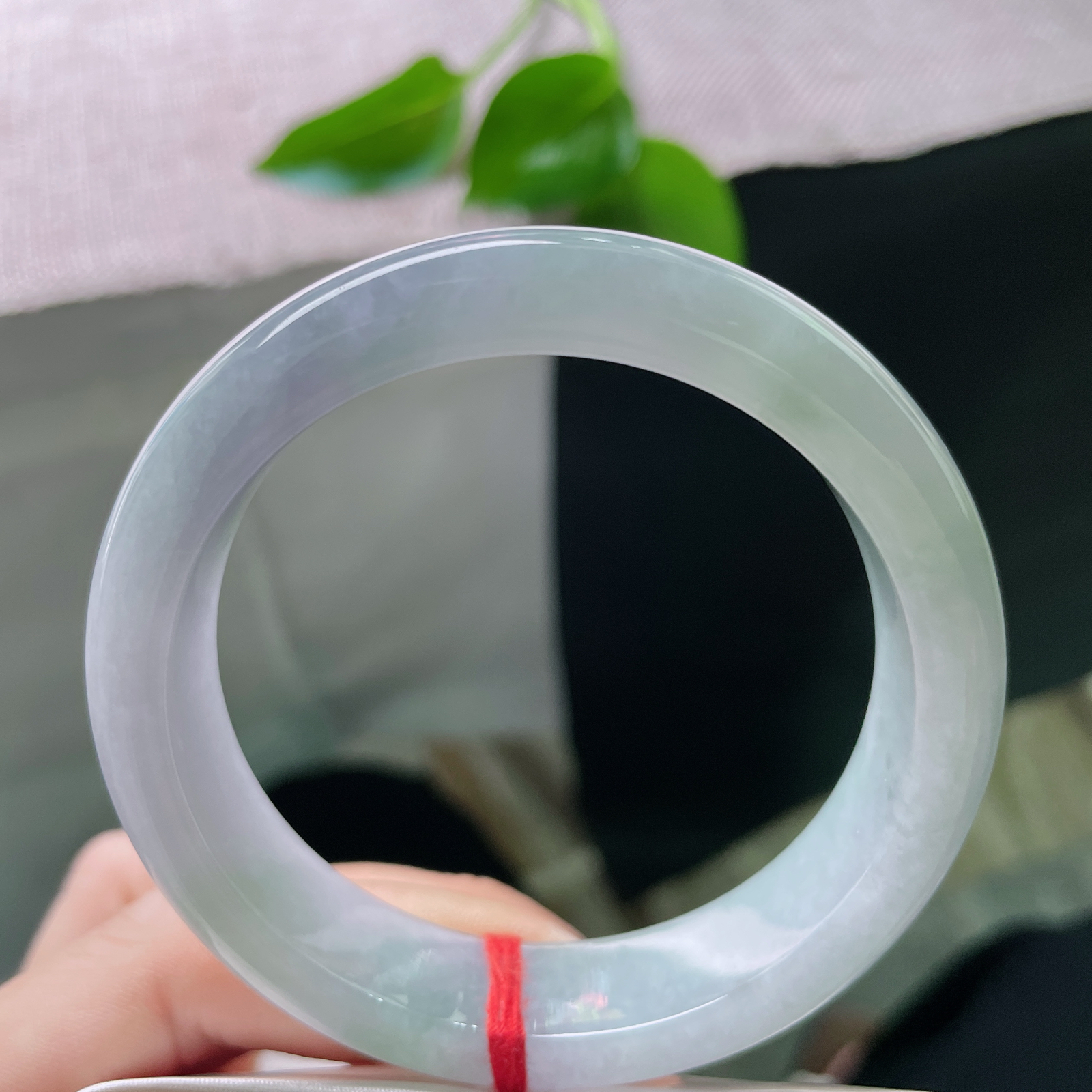 54.9/13.5/8，春彩正圈，腕间的多巴胺，春风有信，花开有期