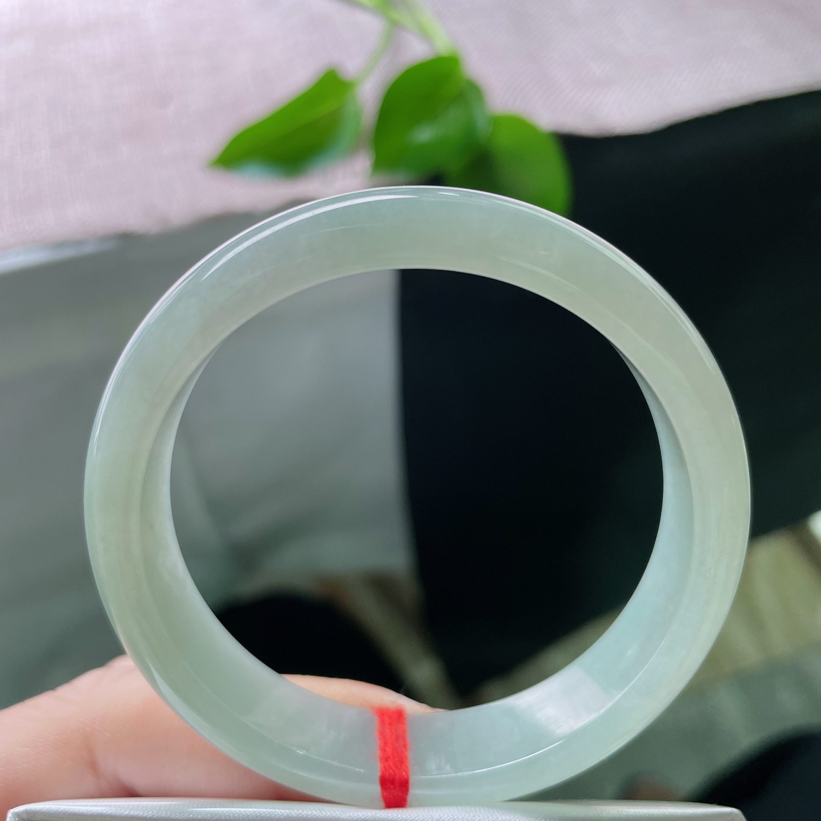 53.8/12.3/6.8，晴绿底正圈，水头好，种老，时光沉淀的底色，是岁月赠予的温润诗篇。