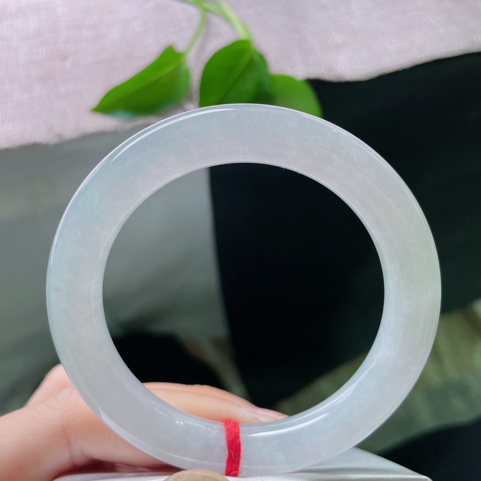 53.8/10白底圆条，冰清玉洁，种老，清泠一瞥，内里自有山河。