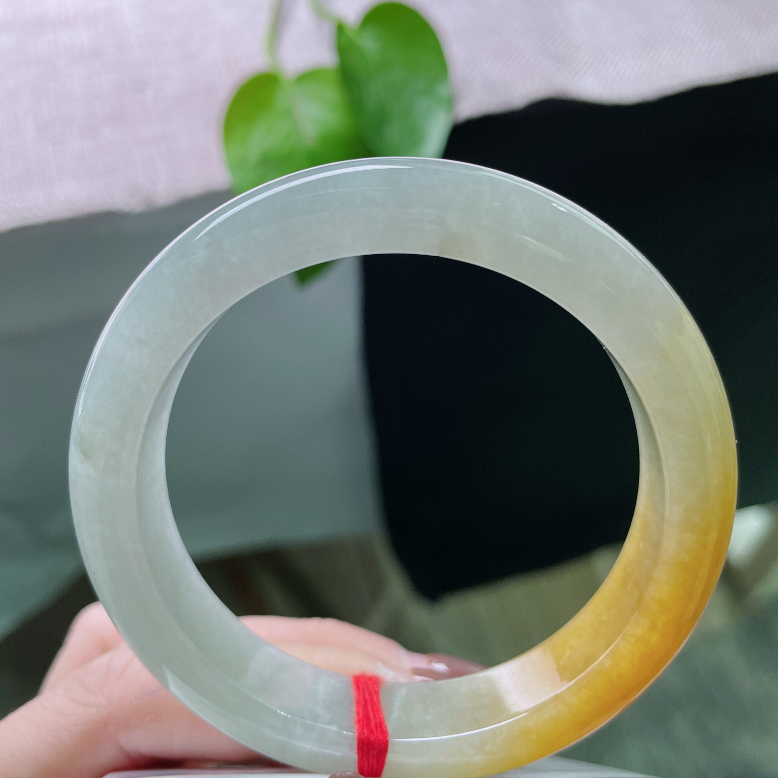 58.3/12.6/9.1黄翡正圈，水润细腻，色泽明艳，古典画意的东方美感