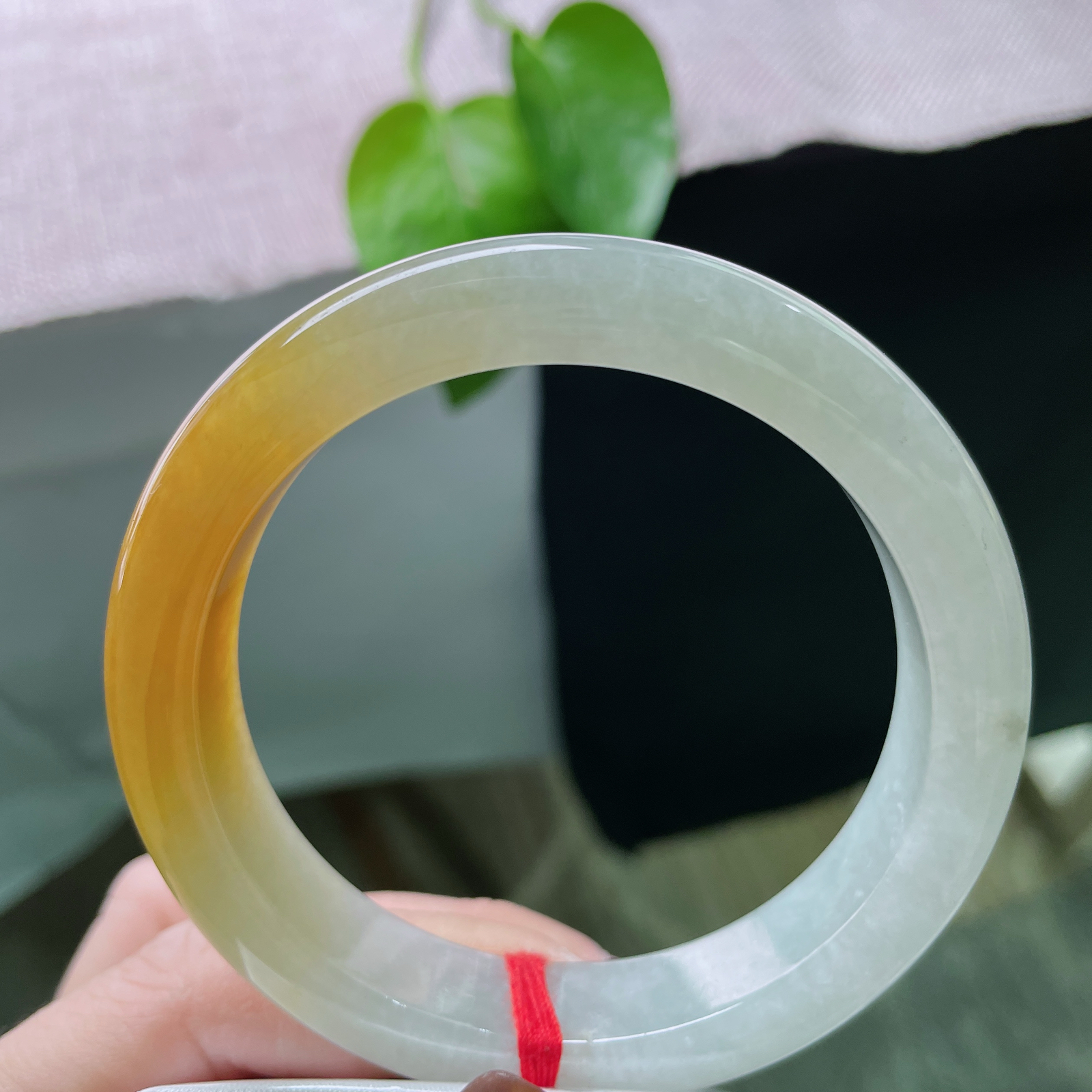 58.3/12.6/9.1黄翡正圈，水润细腻，色泽明艳，古典画意的东方美感