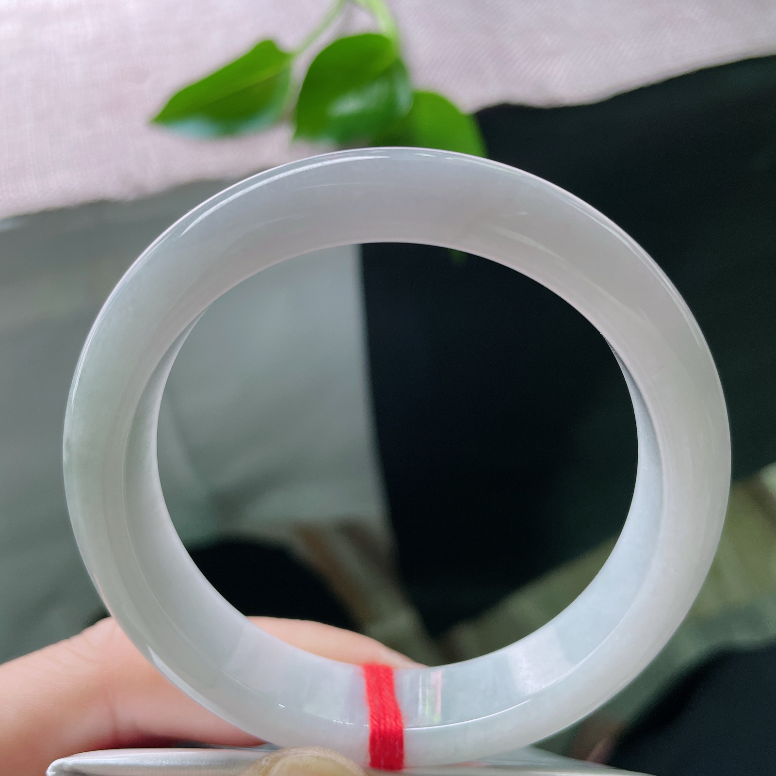 56.3/12.5/8白底正圈，水润细腻，清新简约大方