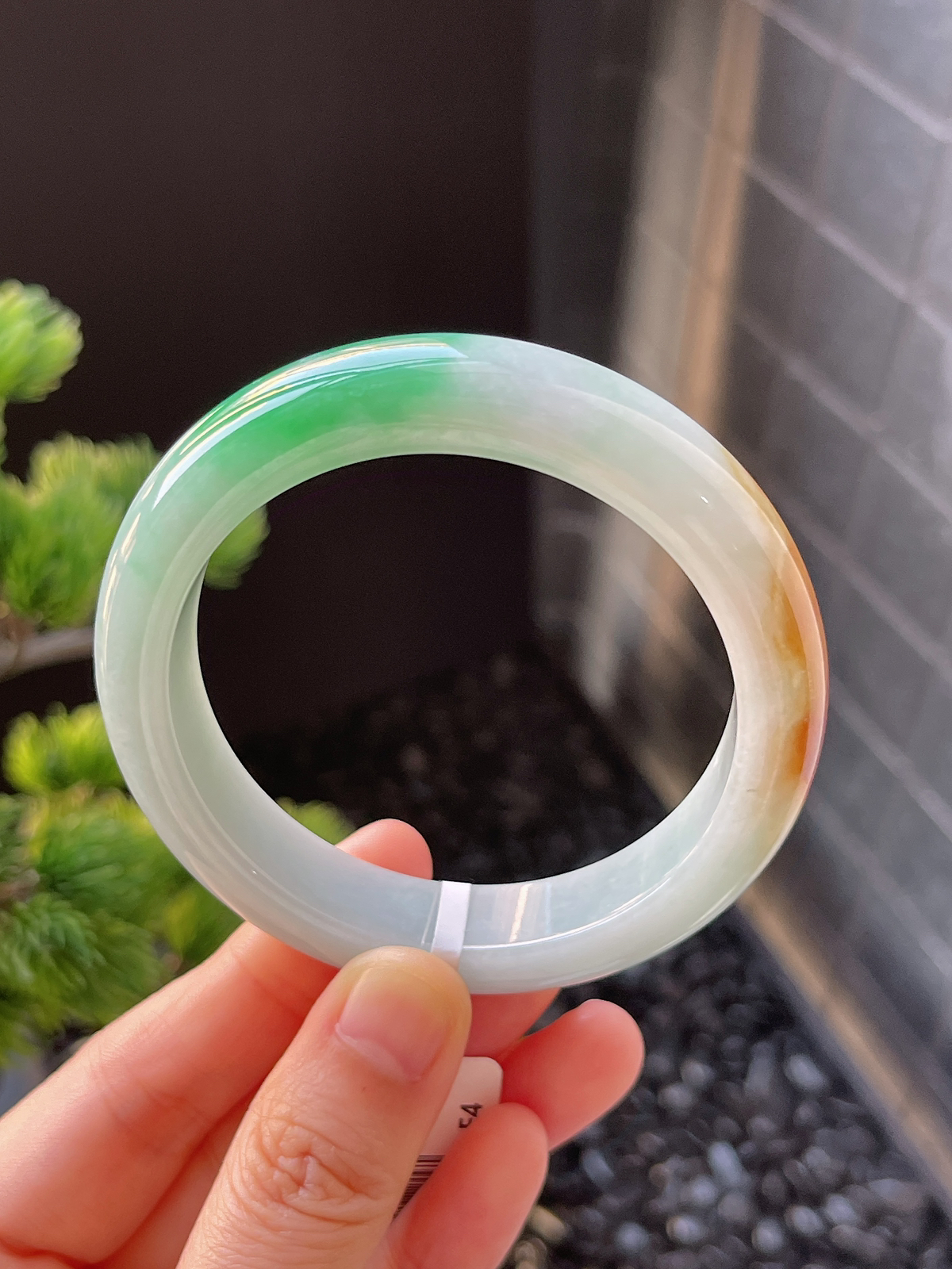 正圈54.5圈口，翡翠糯化种黄+绿手镯