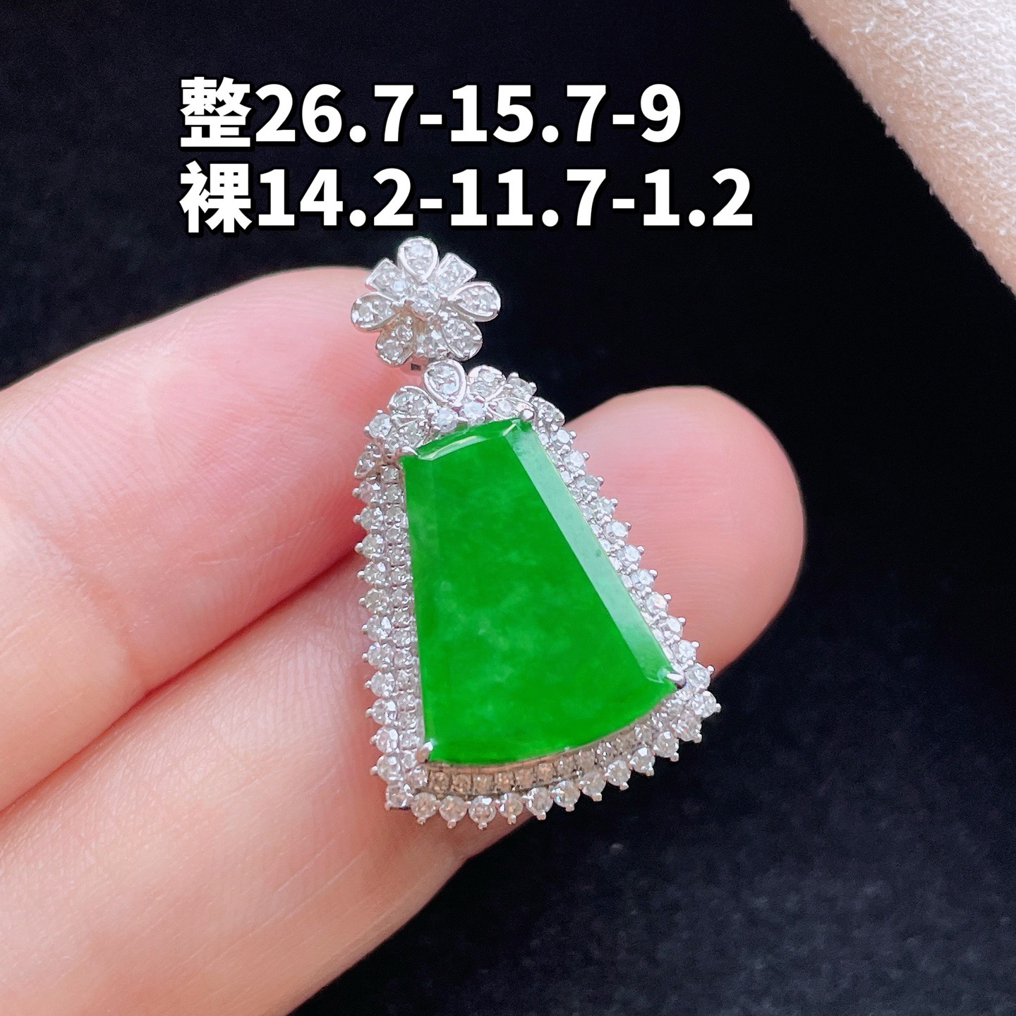 18K 满色·无事牌

整26.7-15.7-9
裸14.2-11.7-1.2