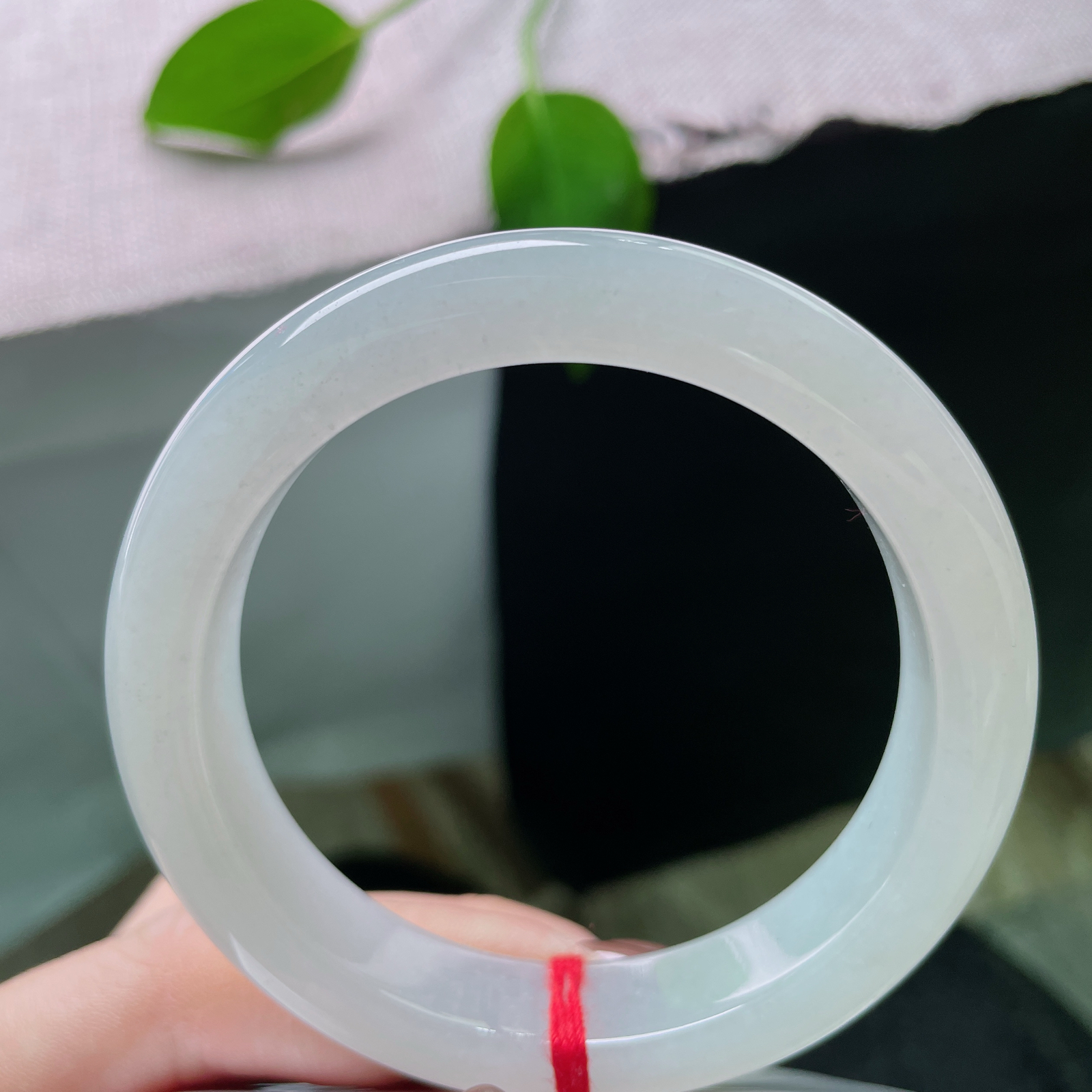 54.8/12.5/8.9，白月光正圈，白翡如霜，清辉如月，腕间一镯，便揽尽了世间所有的温柔皎洁。