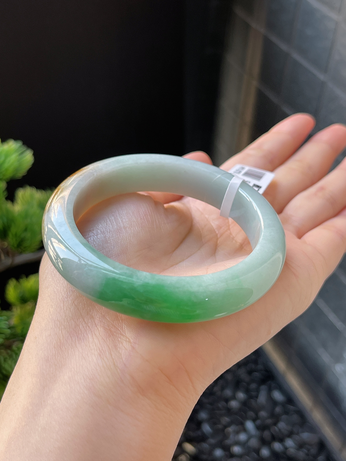正圈54.5圈口，翡翠糯化种黄+绿手镯