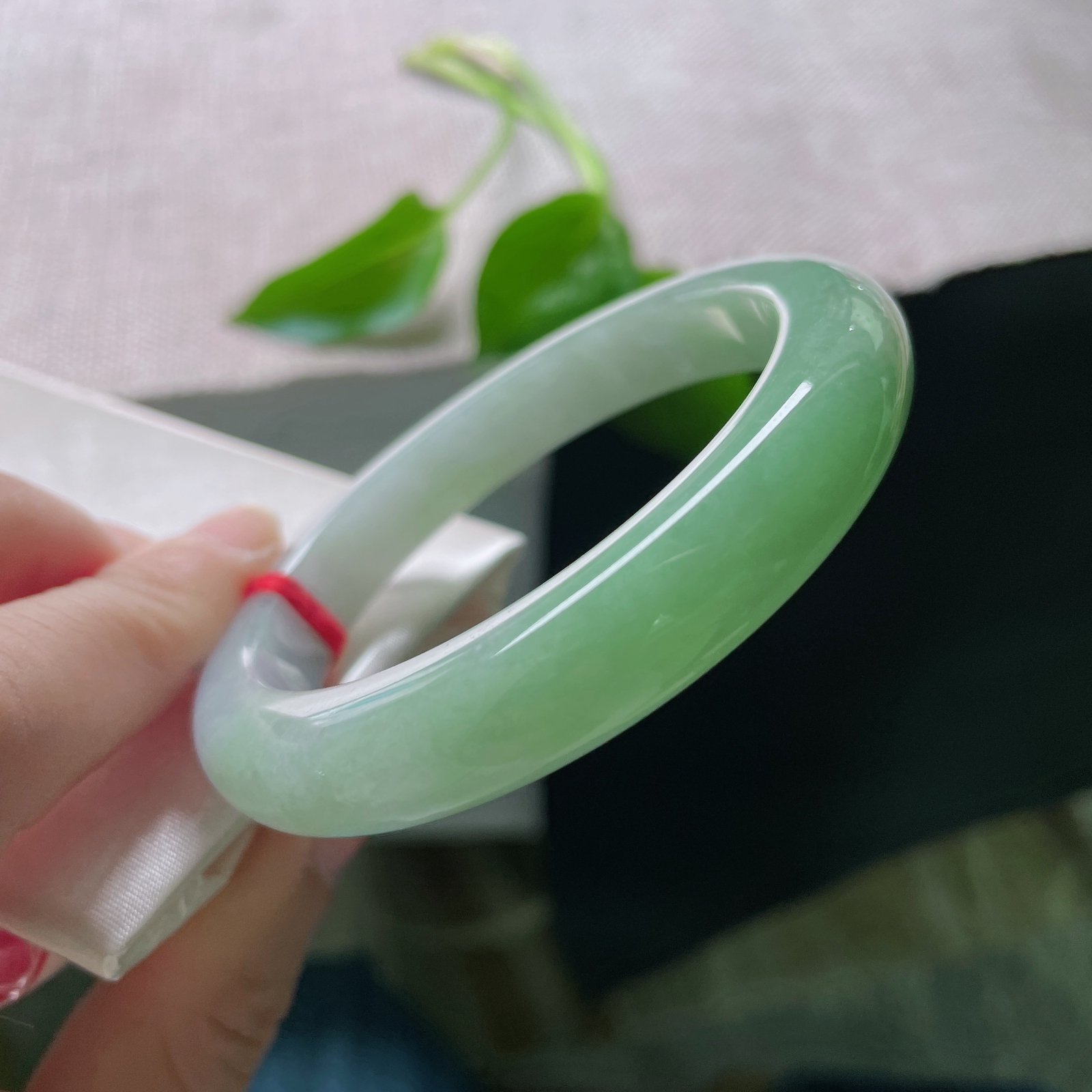 55.6/10.8/8.9，绿底正圈，颜色由浅入深过渡自然光，春意渐浓。