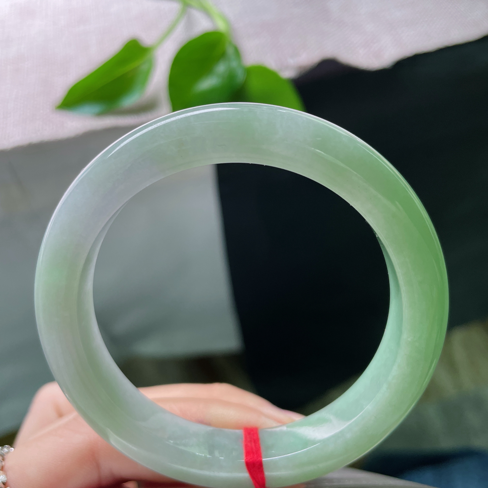 55.6/10.8/8.9，绿底正圈，颜色由浅入深过渡自然光，春意渐浓。