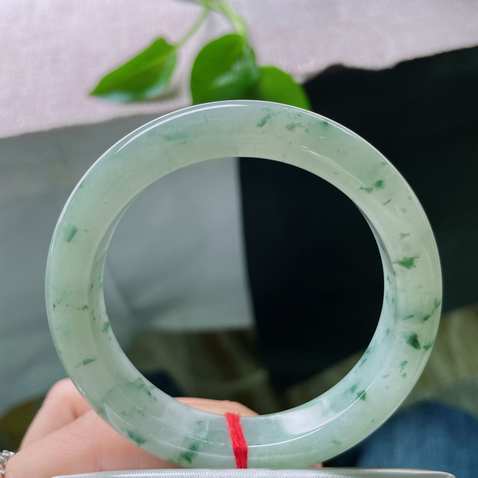 54.8/12/9.1，飘花正圈，每一朵飘花都是独一无二的大自然的馈赠，飘飘洒洒，种老。