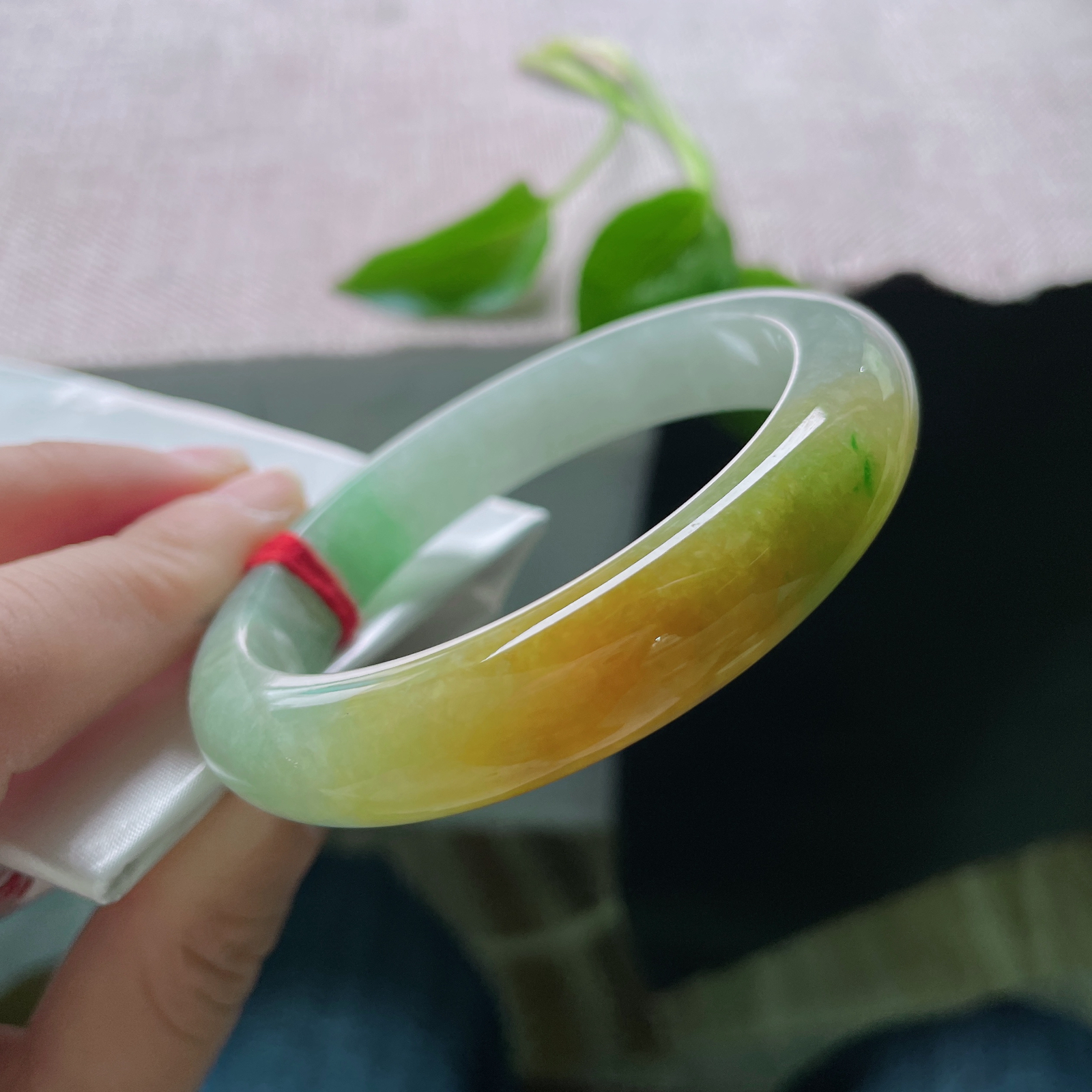 56/12/8.6，黄加绿正圈，生而传奇，色载双辉。一掌之间，握住春秋。