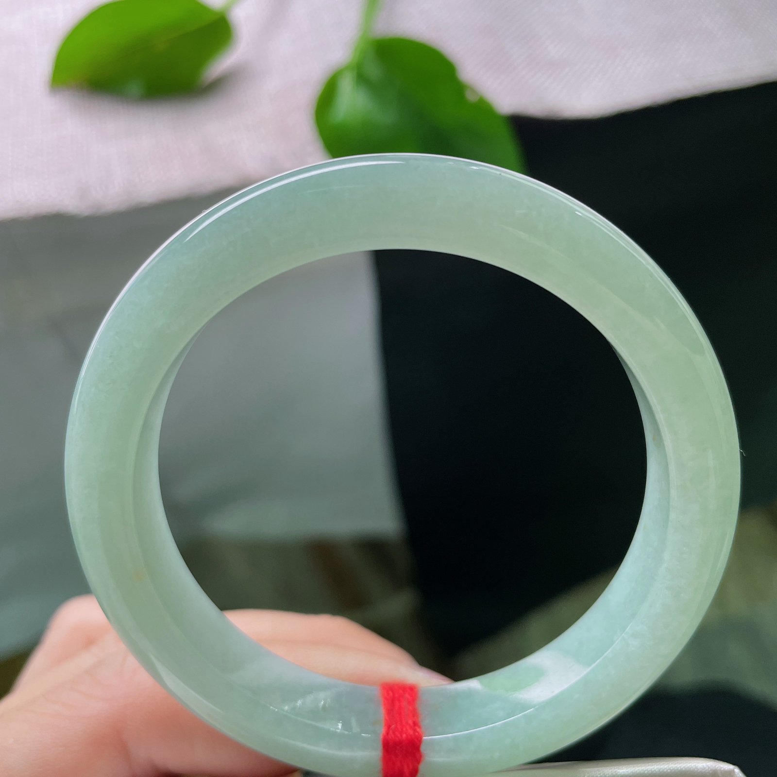 54.8/10.3/8.3，绿底正圈，色泽清丽，甜美，腕间生香，减龄必备，完美的。