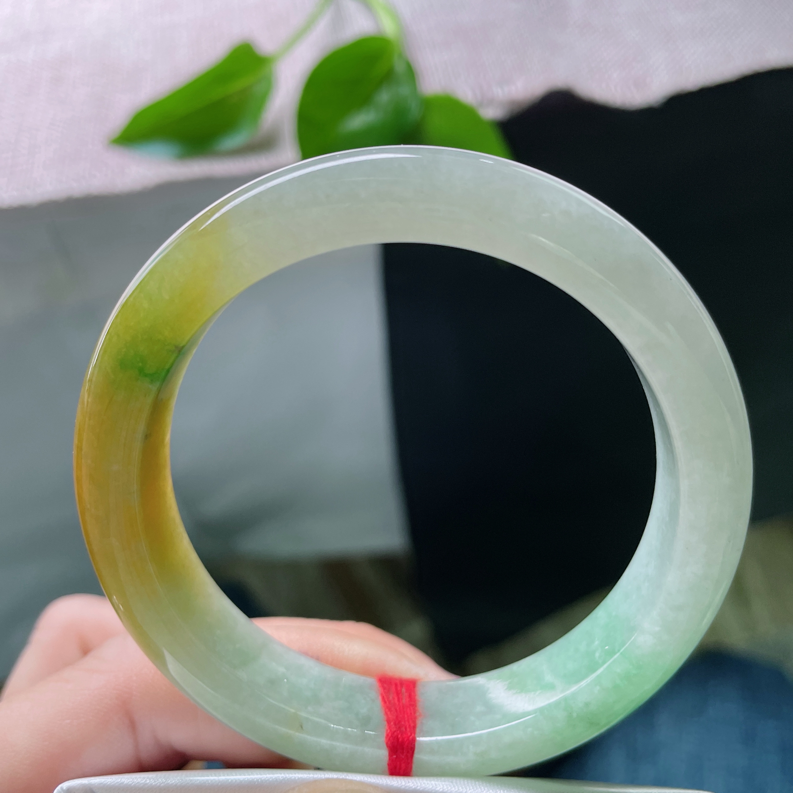 56/12/8.6，黄加绿正圈，生而传奇，色载双辉。一掌之间，握住春秋。