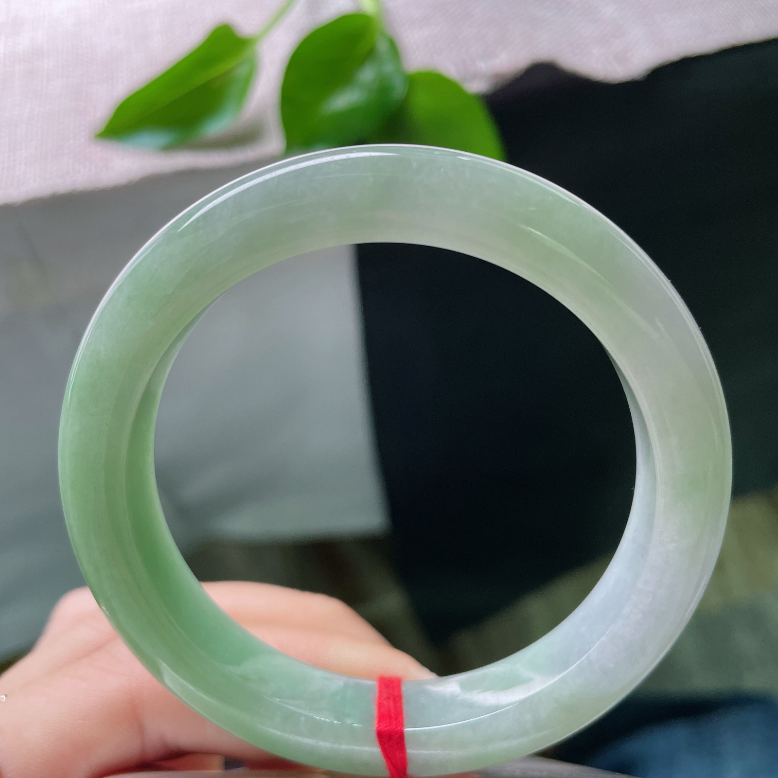 55.6/10.8/8.9，绿底正圈，颜色由浅入深过渡自然光，春意渐浓。