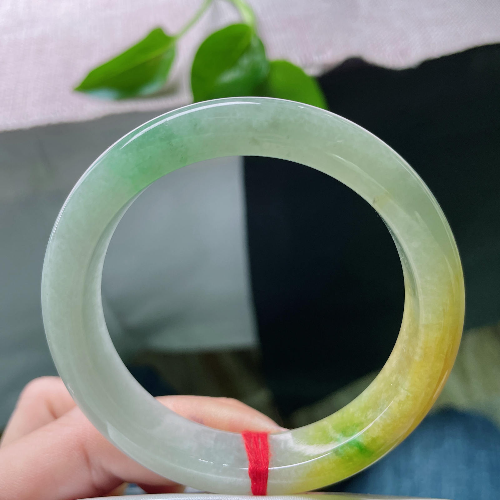 56/12/8.6，黄加绿正圈，生而传奇，色载双辉。一掌之间，握住春秋。