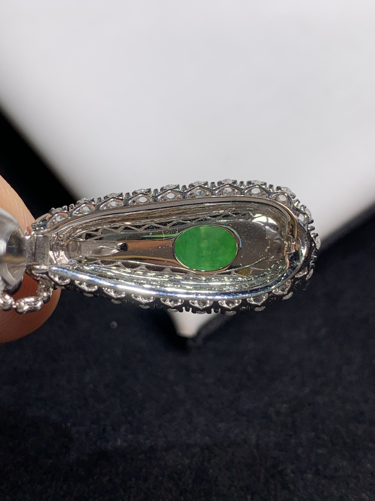 满色福豆，福气满满