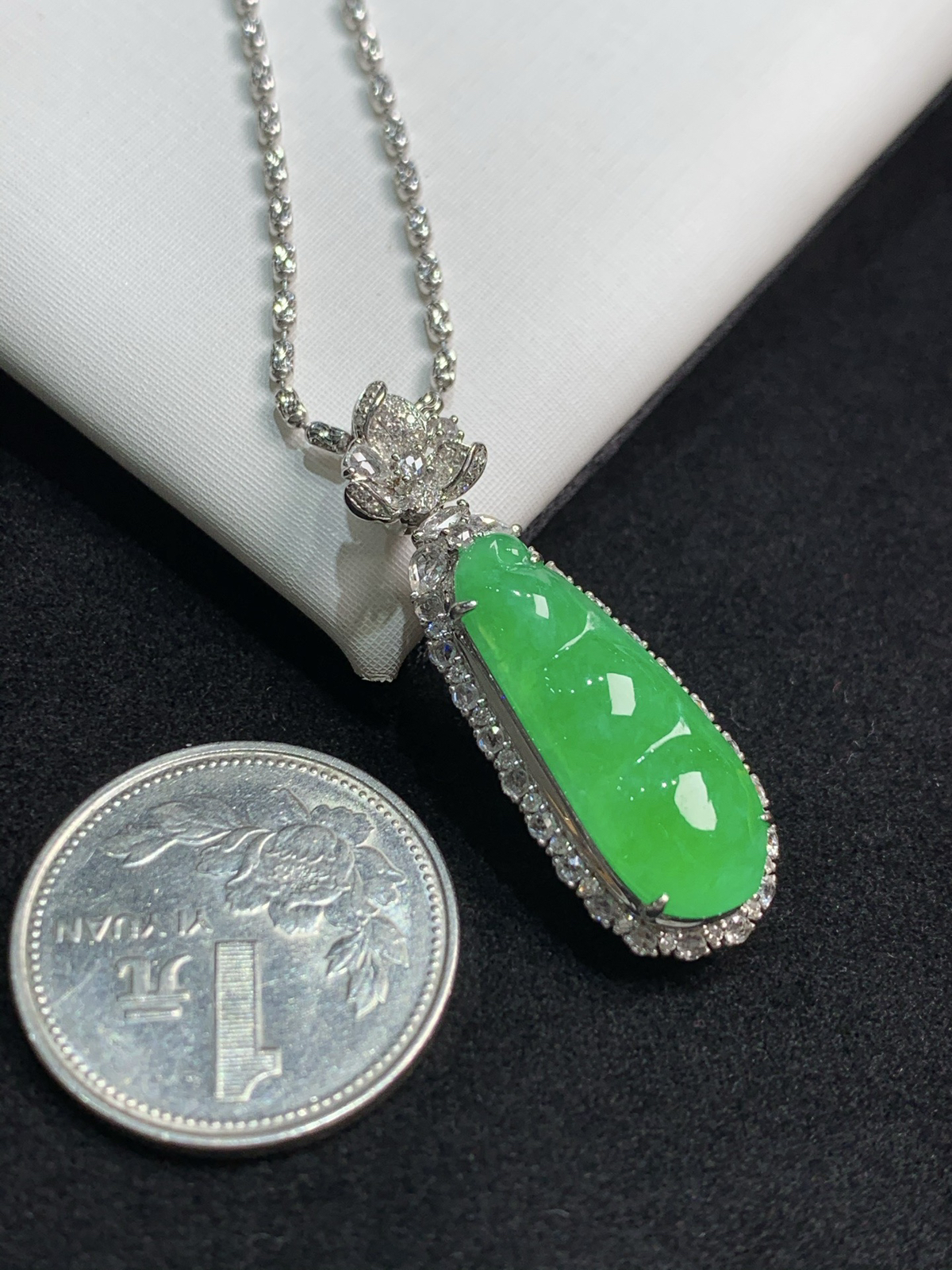 满色福豆，福气满满