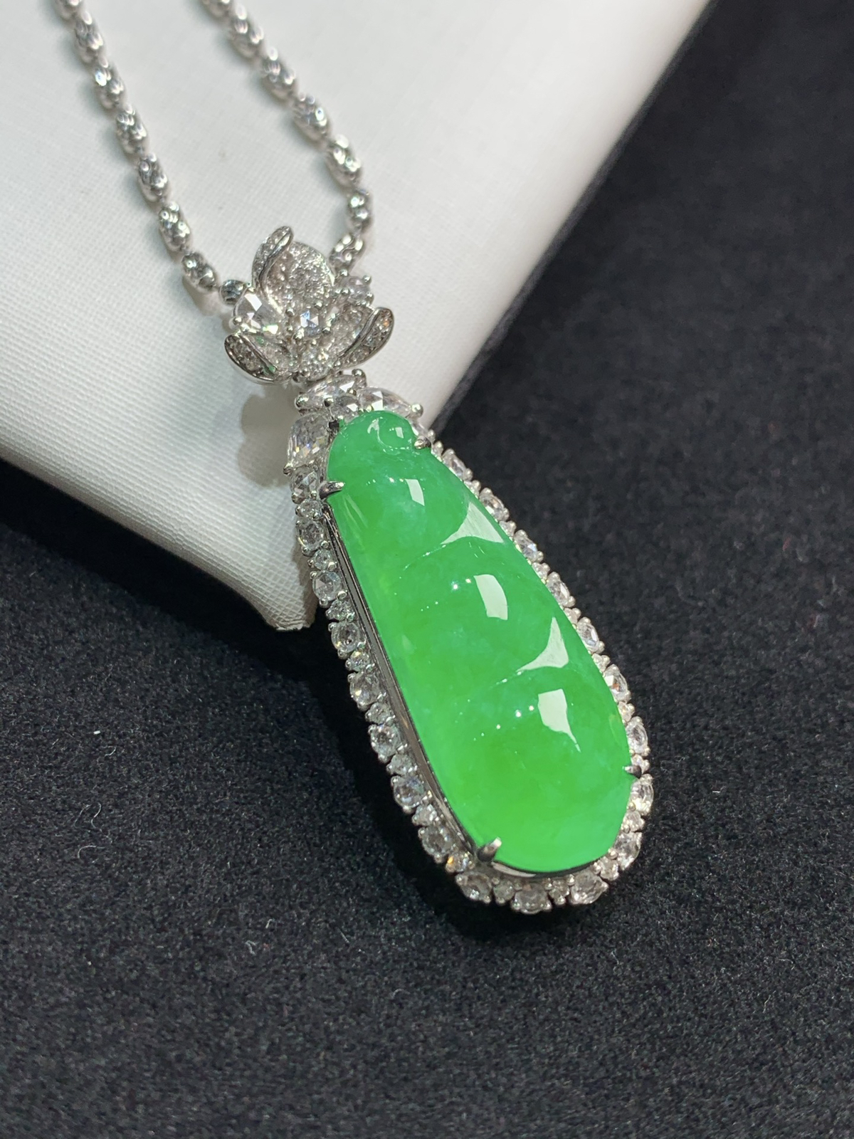 满色福豆，福气满满