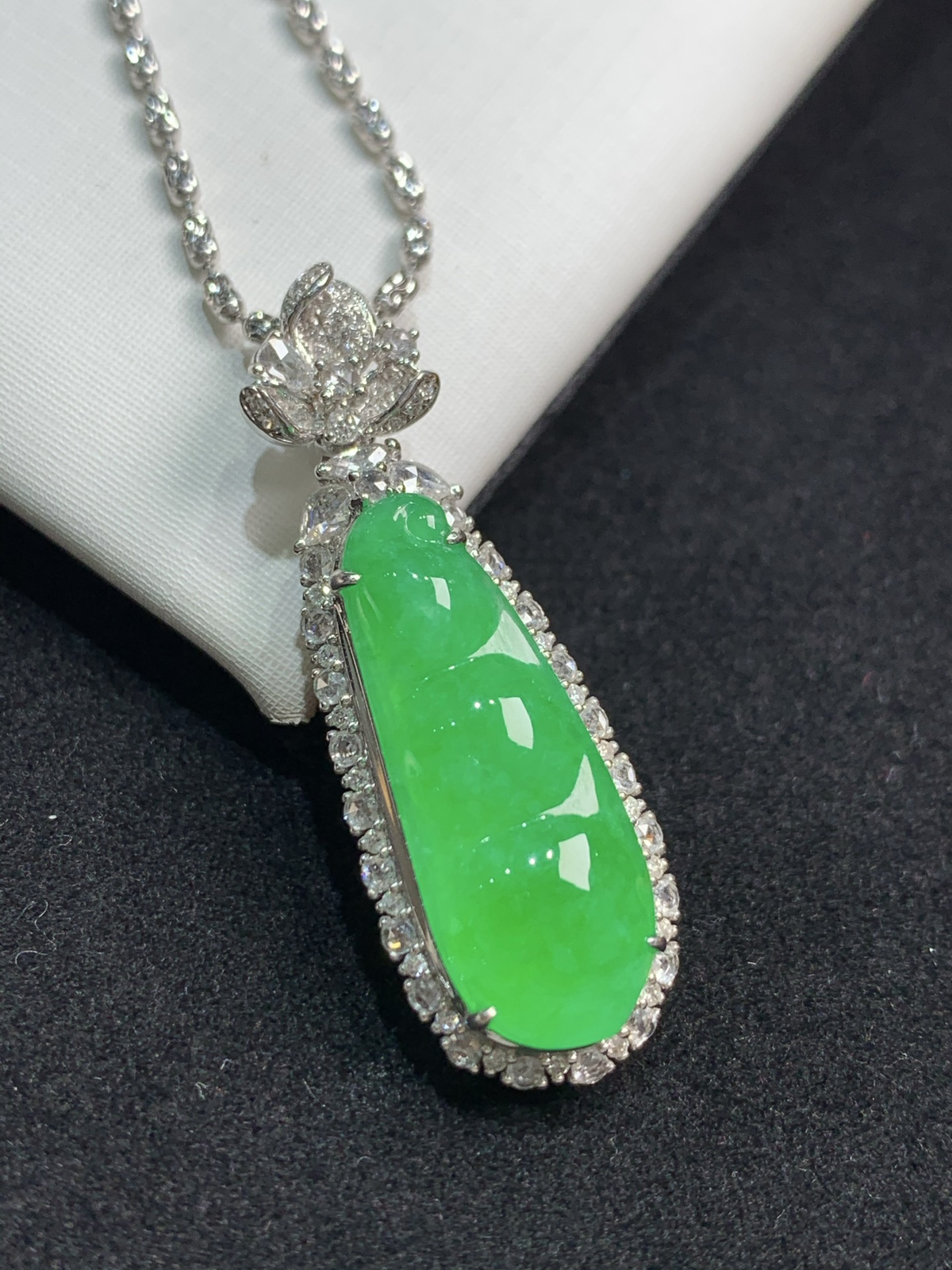 满色福豆，福气满满