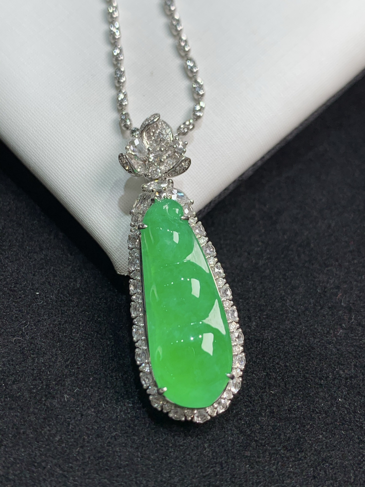 满色福豆，福气满满