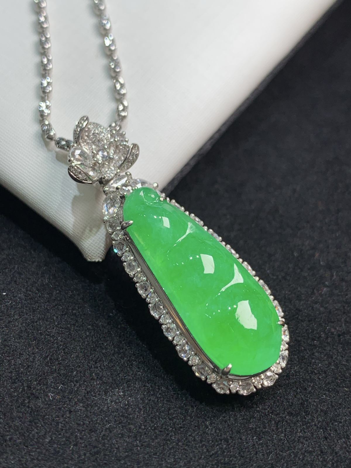 满色福豆，福气满满