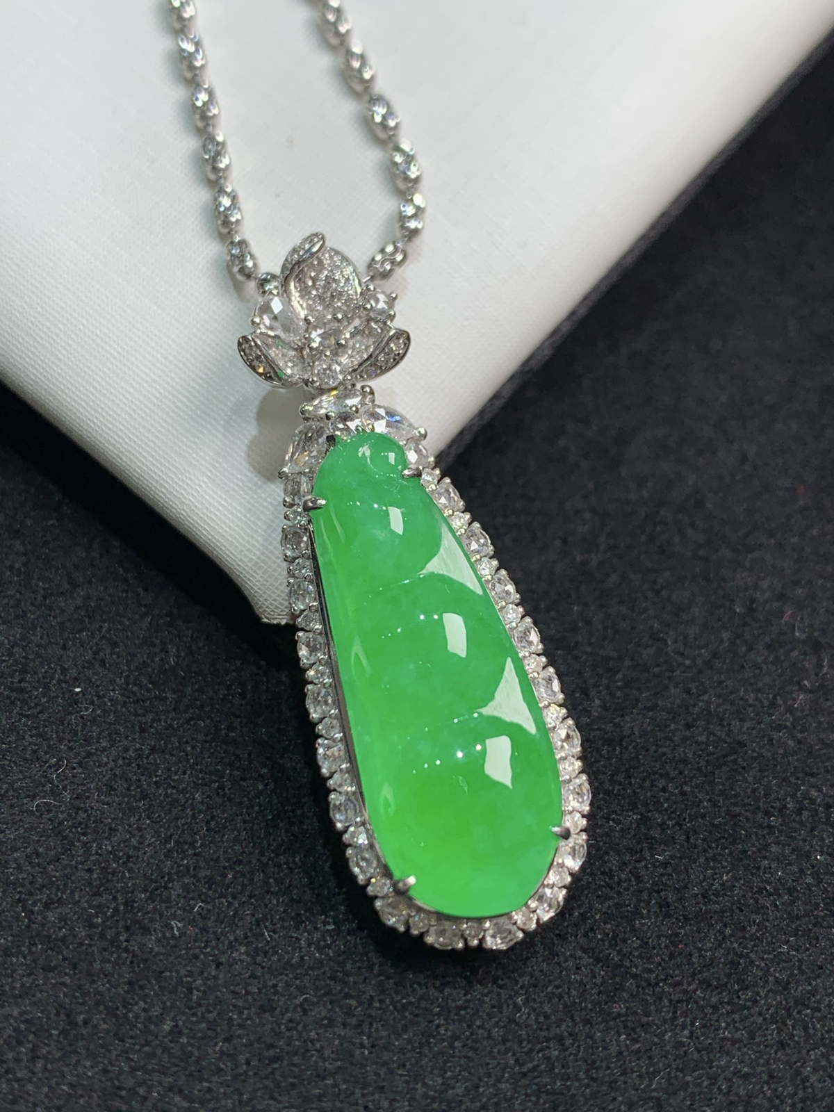 满色福豆，福气满满