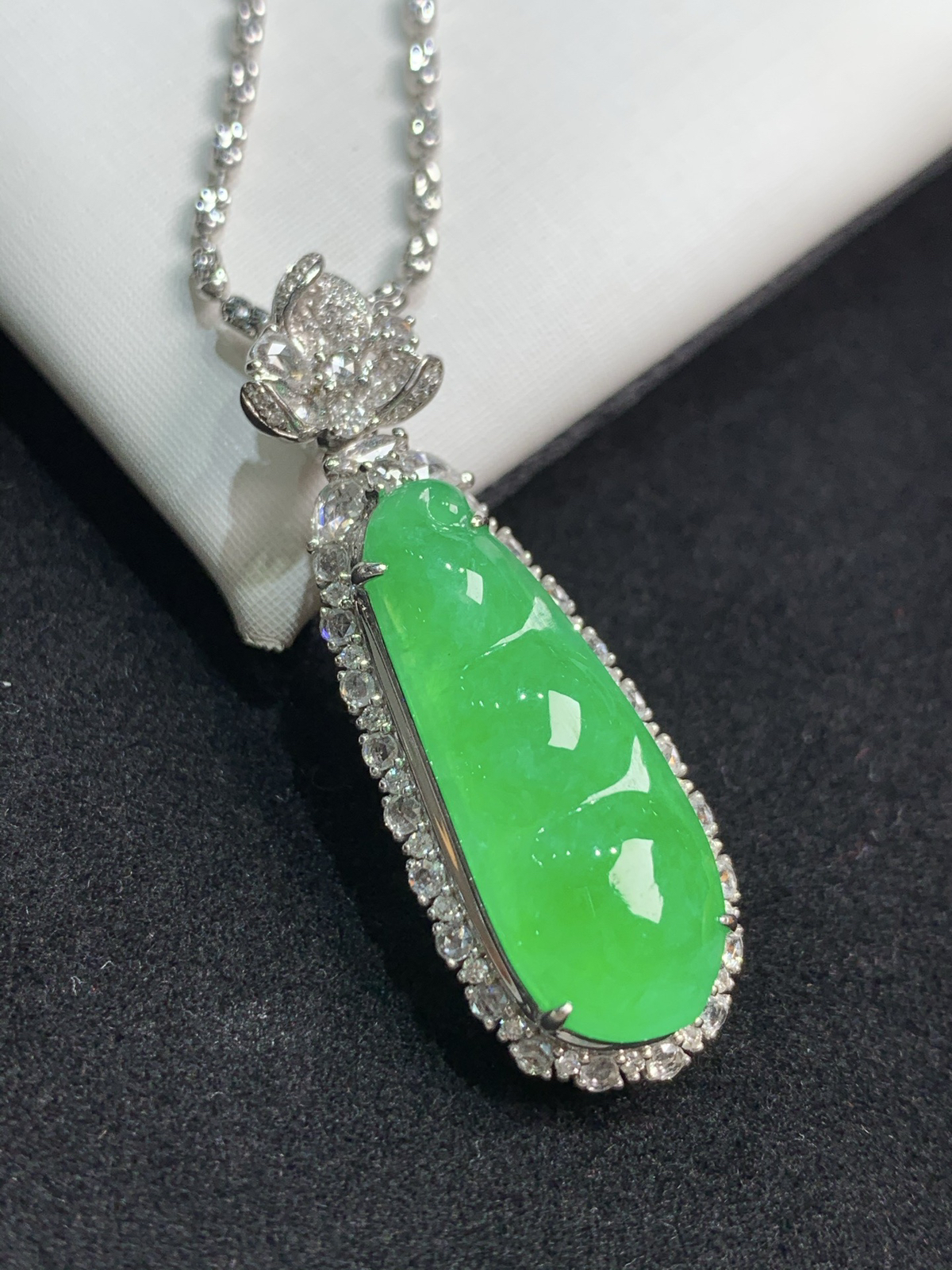 满色福豆，福气满满