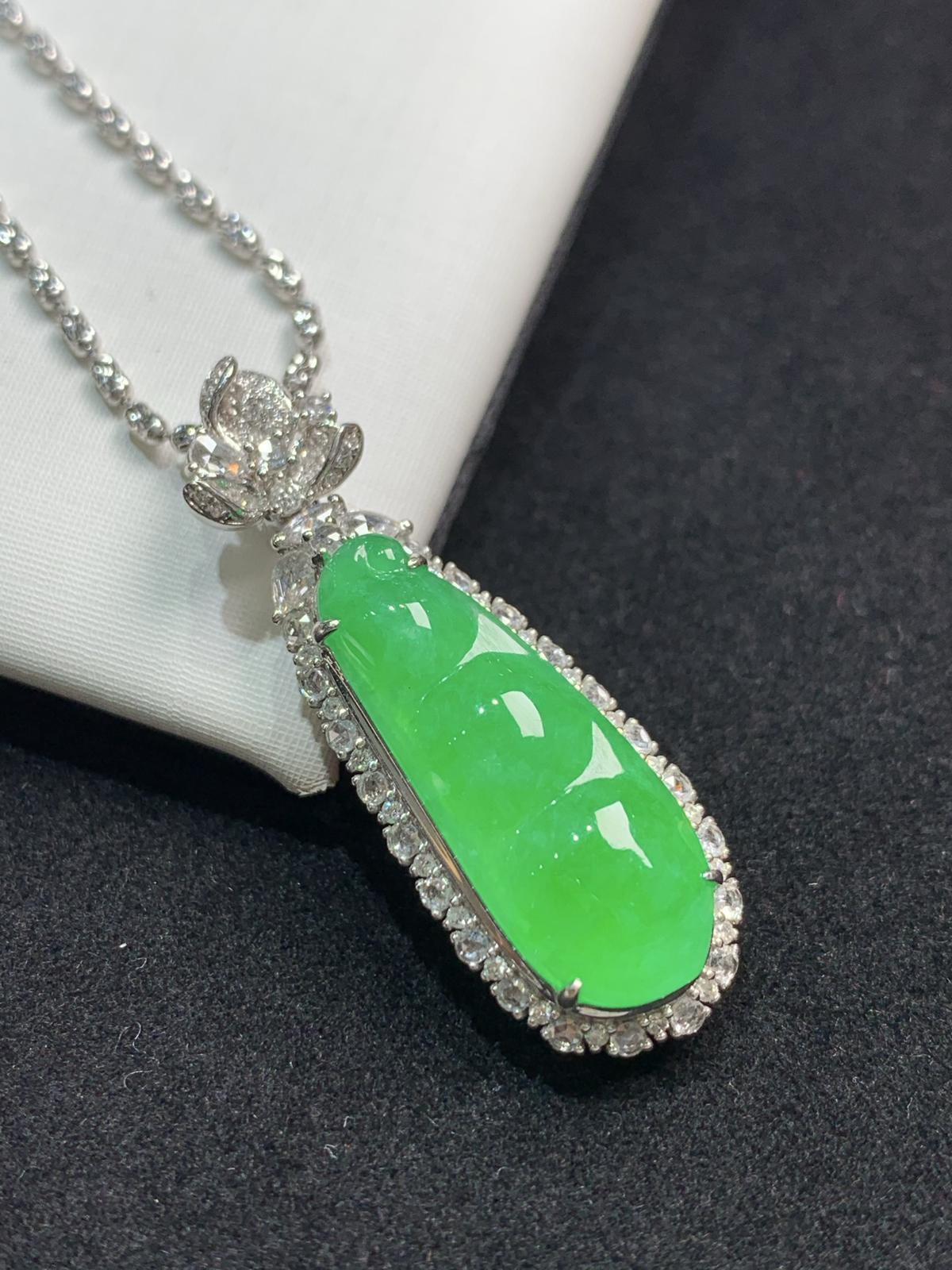 满色福豆，福气满满