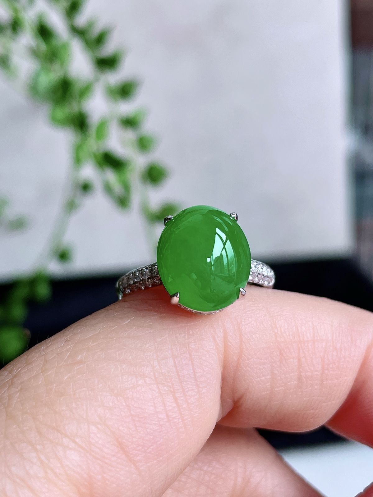 【镶嵌】冰阳绿蛋面戒指
【说明】缅料 18k金镶嵌 性价比高  
【整体】11.6-10-9.8
【裸石】11.6-10-5.6
【圈口】13.5号